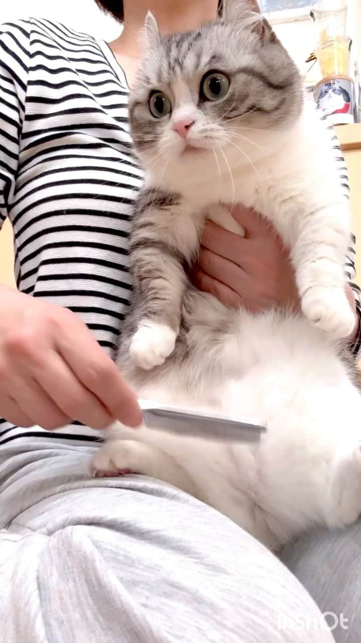こむぎこまるのインスタグラム