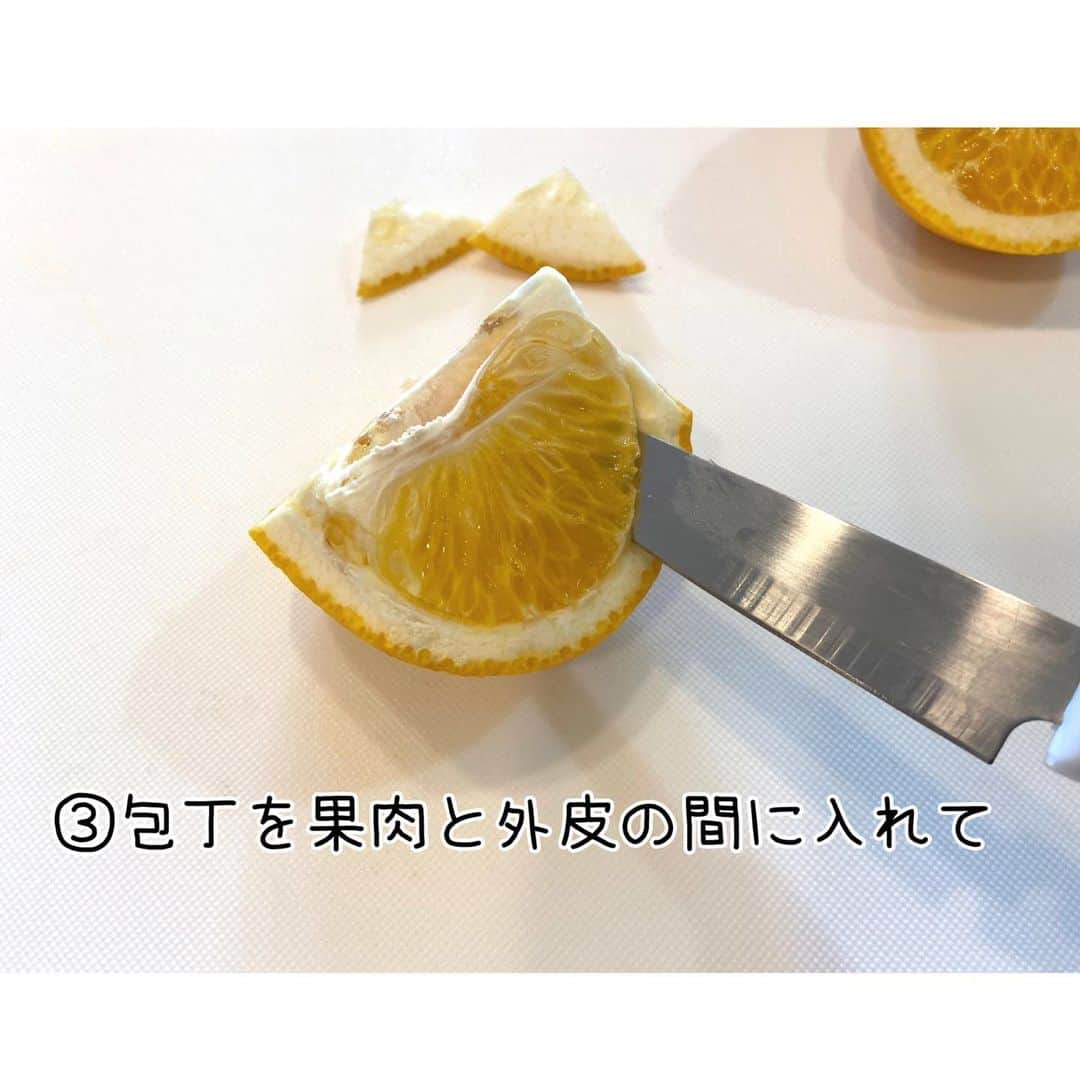 和歌山県食品流通課さんのインスタグラム写真 - (和歌山県食品流通課Instagram)「皆さんはっさくはどう剥かれていますか？  今日は今が旬の「さつき八朔」を用いて、早く簡単に剥ける「ゆら剥き」をご紹介します！  ①まず４等分にします ②次に外皮を器にするため、端と底を切り落とします ③包丁を果肉と外皮の間に入れて、身を切り離します （果物ナイフが便利） ④本をめくるように薄皮を剥がし、身をとります ⑤器に盛って完成です  通常はっさくは12月頃から収穫しますが、この「さつき八朔」は木に成らせたまま越冬・熟成させ、3月～4月に収穫します。由良町を中心に、霜が降りにくい県中南部の温暖な海沿いで栽培されており、春までじっくり熟成させた果実は、ジューシーで糖度が高く、酸味や苦みが抑えられた濃厚な味わいです。  今回は「ゆら剥き」をご紹介しましたが、皮むき器も販売されています。日本一のはっさく産地である和歌山のはっさくをぜひお楽しみください✨️   #さつき八朔  #ゆら剥き  #おいしい健康わかやま  #tasty_healthy_wakayama  #なんて素敵な和歌山なんでしょう  #和歌山県  #wakayama  #insta_wakayama」4月21日 11時39分 - tasty_healthy_wakayama