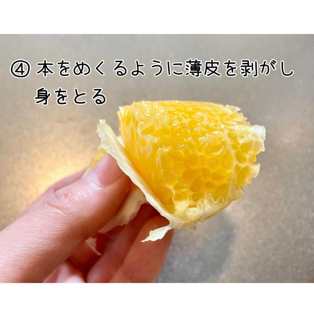 和歌山県食品流通課さんのインスタグラム写真 - (和歌山県食品流通課Instagram)「皆さんはっさくはどう剥かれていますか？  今日は今が旬の「さつき八朔」を用いて、早く簡単に剥ける「ゆら剥き」をご紹介します！  ①まず４等分にします ②次に外皮を器にするため、端と底を切り落とします ③包丁を果肉と外皮の間に入れて、身を切り離します （果物ナイフが便利） ④本をめくるように薄皮を剥がし、身をとります ⑤器に盛って完成です  通常はっさくは12月頃から収穫しますが、この「さつき八朔」は木に成らせたまま越冬・熟成させ、3月～4月に収穫します。由良町を中心に、霜が降りにくい県中南部の温暖な海沿いで栽培されており、春までじっくり熟成させた果実は、ジューシーで糖度が高く、酸味や苦みが抑えられた濃厚な味わいです。  今回は「ゆら剥き」をご紹介しましたが、皮むき器も販売されています。日本一のはっさく産地である和歌山のはっさくをぜひお楽しみください✨️   #さつき八朔  #ゆら剥き  #おいしい健康わかやま  #tasty_healthy_wakayama  #なんて素敵な和歌山なんでしょう  #和歌山県  #wakayama  #insta_wakayama」4月21日 11時39分 - tasty_healthy_wakayama