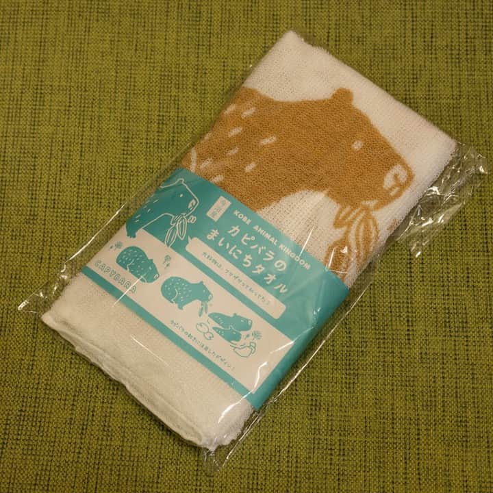 渡辺克仁さんのインスタグラム写真 - (渡辺克仁Instagram)「今治産綿100%のカピバラ柄のタオル。使いやすい35×85cmサイズ。面白いのはタオルに描かれた５種類のカピバラが全て違うデザイン。ネーミングの「カピバラのまいにちタオル」もGOOD！  #カピバラ #水豚 #capybara #神戸どうぶつ王国 #880円」4月21日 11時58分 - katsuhito.watanabe