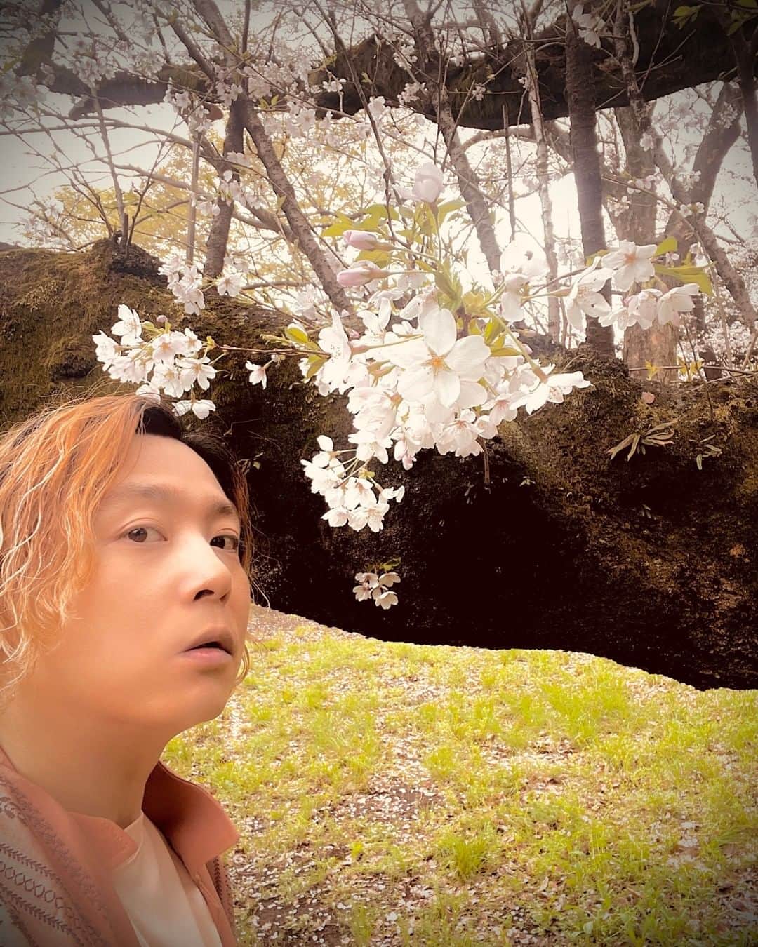 のインスタグラム：「#ENDRECHERI」