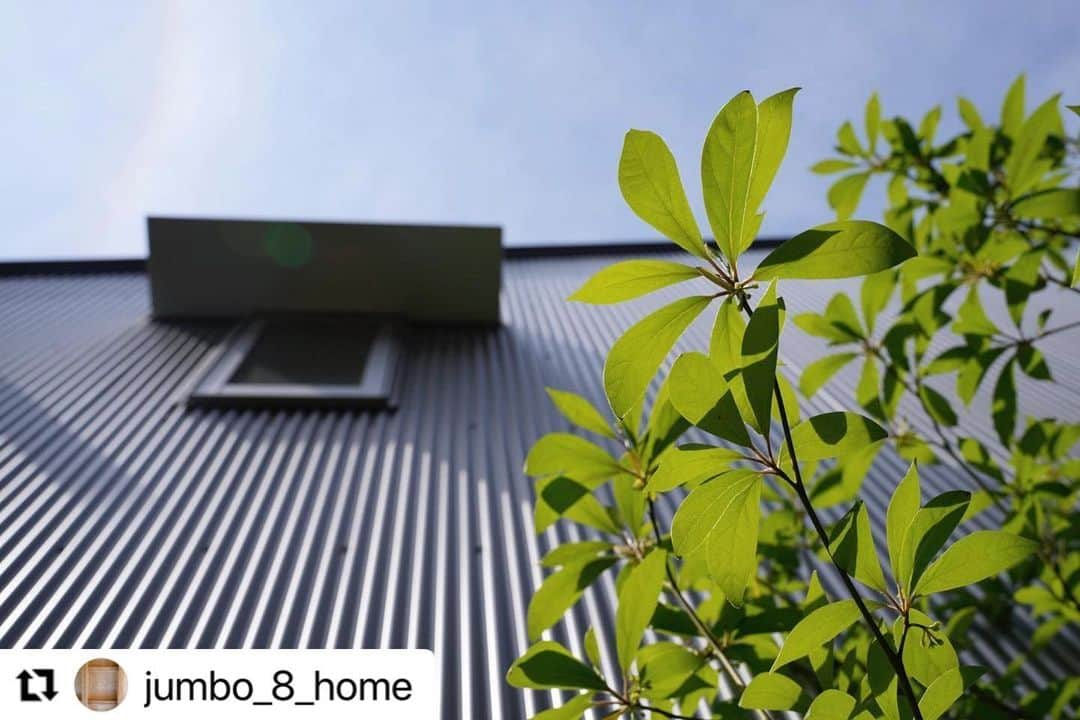 岡庭建設株式会社さんのインスタグラム写真 - (岡庭建設株式会社Instagram)「#Repost @jumbo_8_home with @use.repost ・・・ #クロモジ  と　#ガルバリウム鋼板 のコントラスト  #植物のある暮らし  #flower #花の写真館 #花 #flowerstagram #庭 #庭づくり #庭に咲く花 #garden #gardening #gardenlife #frommygarden  #okaniwastyle #庭の植物図鑑 #岡庭建設 #花のある暮らし  . . .  - Special thanks 🤝-  5年目を迎えた #おかにわファミリー (住まい手様)のお住まいです🕊  #ガルバリウム外壁 🏡 　　　　× 青々としたグリーン🌿  それぞれの良さを引き立てる 素敵な一枚が届きました📷✨  シェアどうもありがとうございます😊  引き続きよろしくお願い申し上げます。  .  ･････････････････････････････････   《みんなでつくるいえ、みんなでまもるいえ。》  #東京都 #西東京市 の地域工務店、岡庭建設です🌲  資料請求・お問い合わせ先は プロフィールのURLからどうぞ📩 ▶︎ @okaniwastyle   施工事例が見れます📷 ▶︎ # 岡庭建設 ▶︎ # okaniwastyle   リノベーションのご相談はこちら🏠 ▶︎ @okaniwa_reform_koubou   ･････････････････････････････････   #注文住宅 #分譲住宅 #家づくり#大工  #パッシブデザイン #自然素材の家」4月21日 12時03分 - okaniwastyle