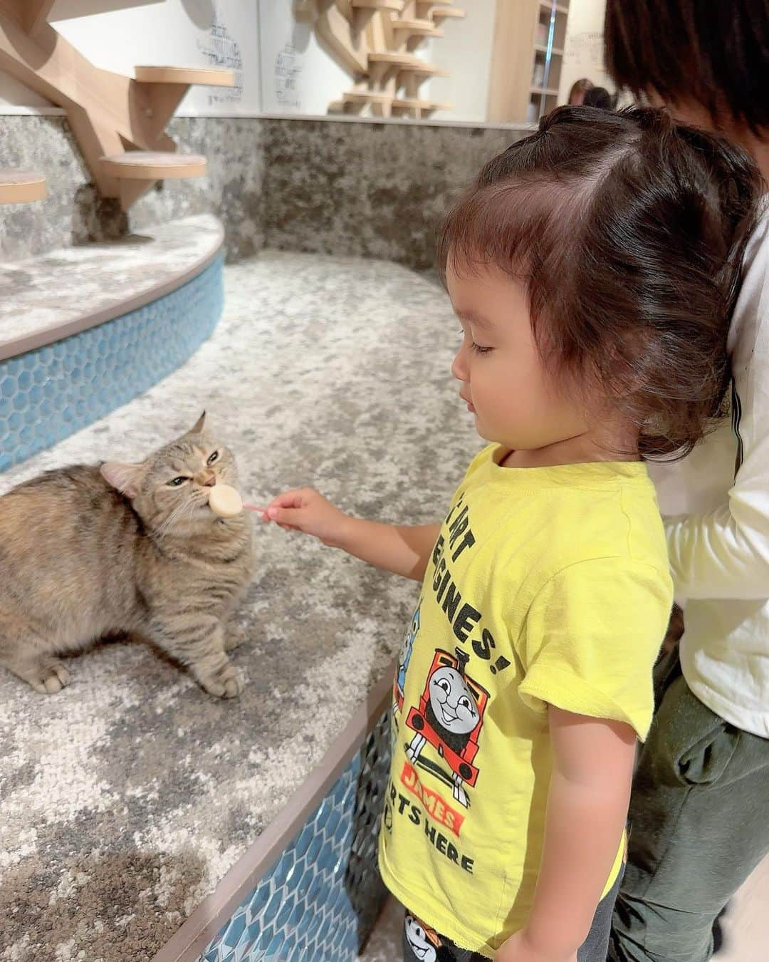 川崎希さんのインスタグラム写真 - (川崎希Instagram)「ネコカフェ🐈  ネコ用おやつアイスをあげたりしてたよ🌟🌟🌟  可愛いっ💓💓💓  #ネコカフェ」4月21日 12時07分 - kawasakinozomi