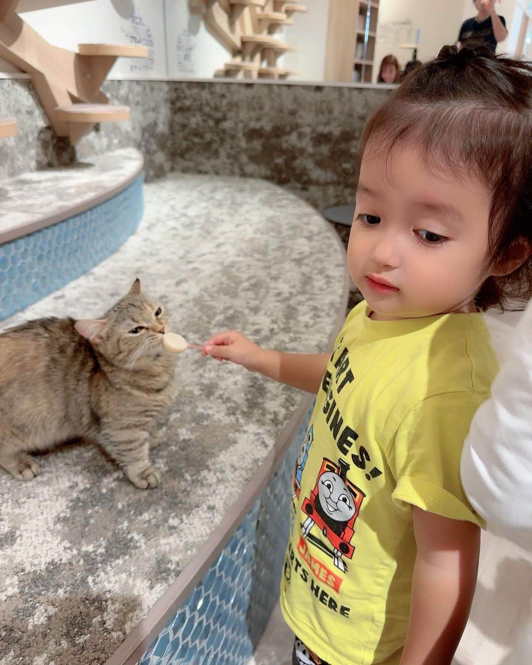川崎希さんのインスタグラム写真 - (川崎希Instagram)「ネコカフェ🐈  ネコ用おやつアイスをあげたりしてたよ🌟🌟🌟  可愛いっ💓💓💓  #ネコカフェ」4月21日 12時07分 - kawasakinozomi