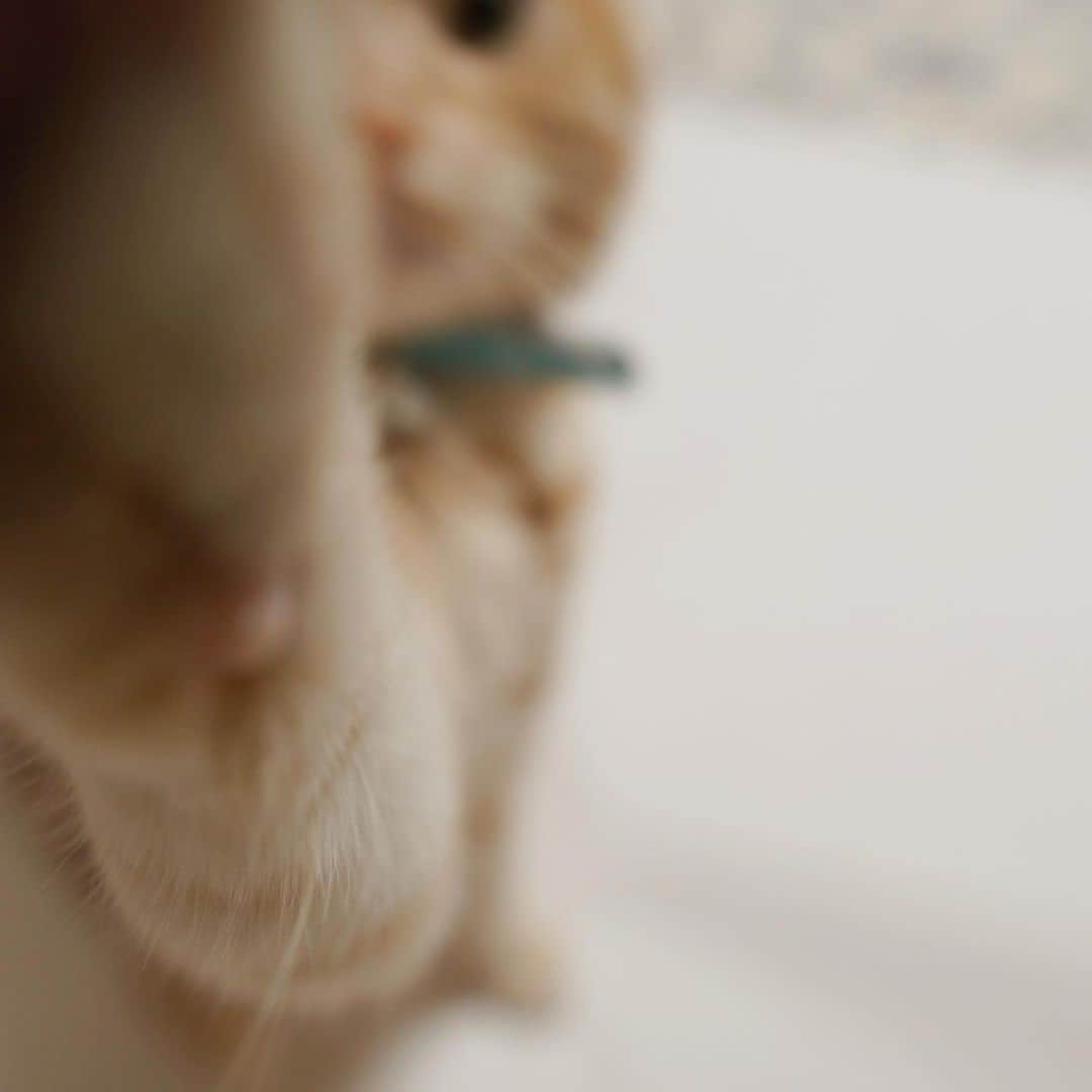 蒼山幸子さんのインスタグラム写真 - (蒼山幸子Instagram)「天使近影。 大きな方眼紙の絨毯がうれしい。🐅」4月21日 12時44分 - sachiko_aoyama