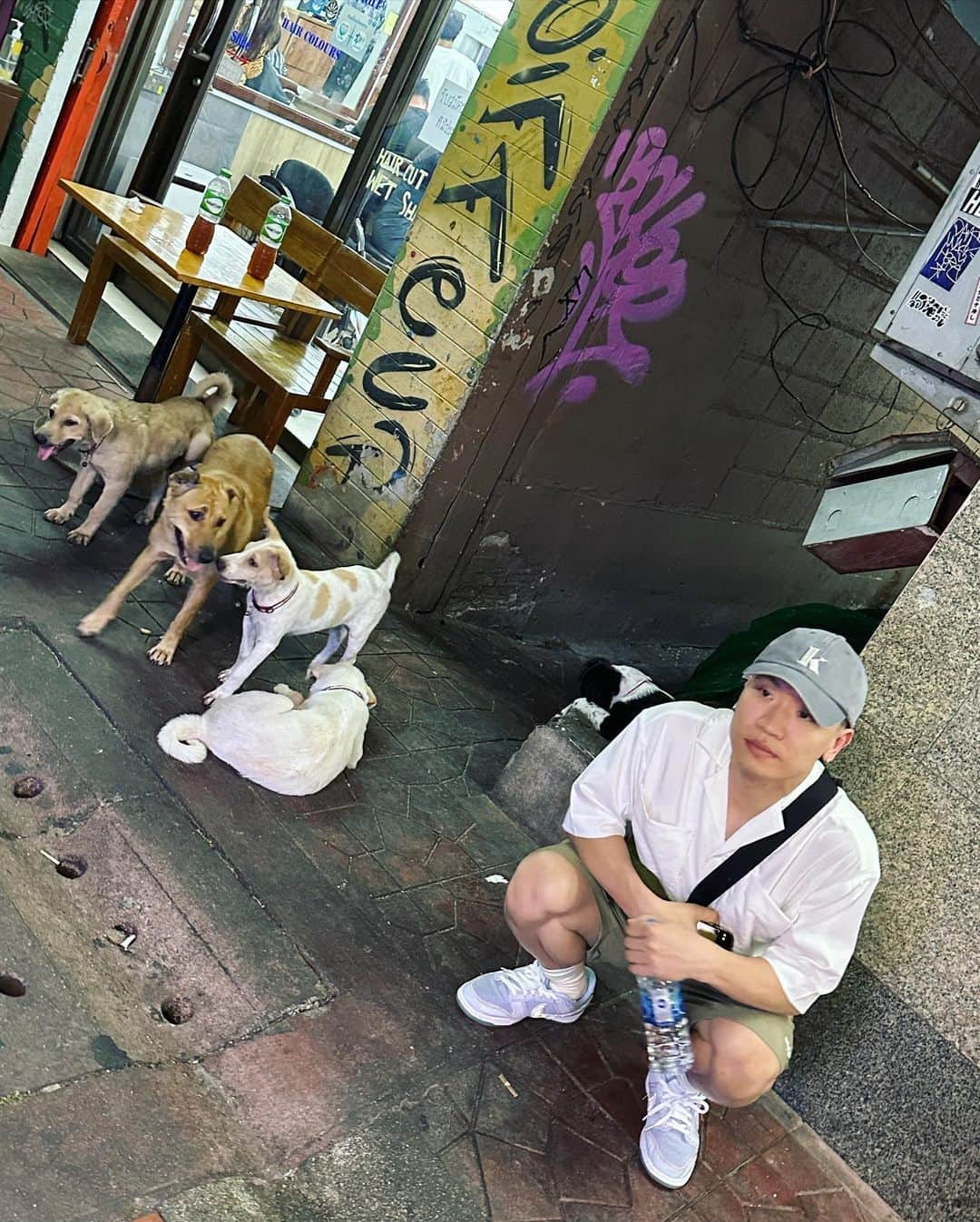 ゲコのインスタグラム：「태국개와 관광개  액 🦮🦮」