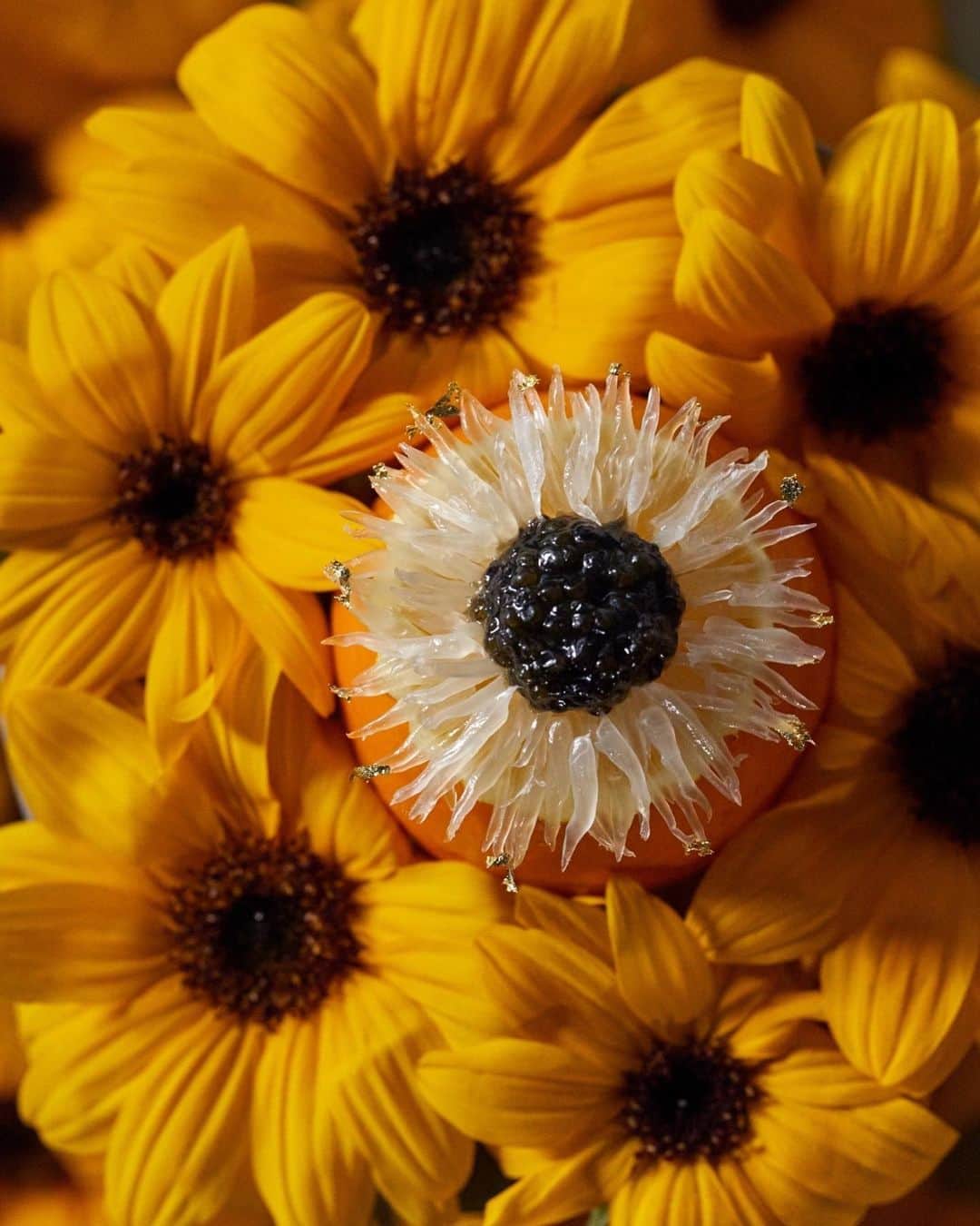 庄司夏子のインスタグラム：「Sunflower 🌻 🌻🌻」