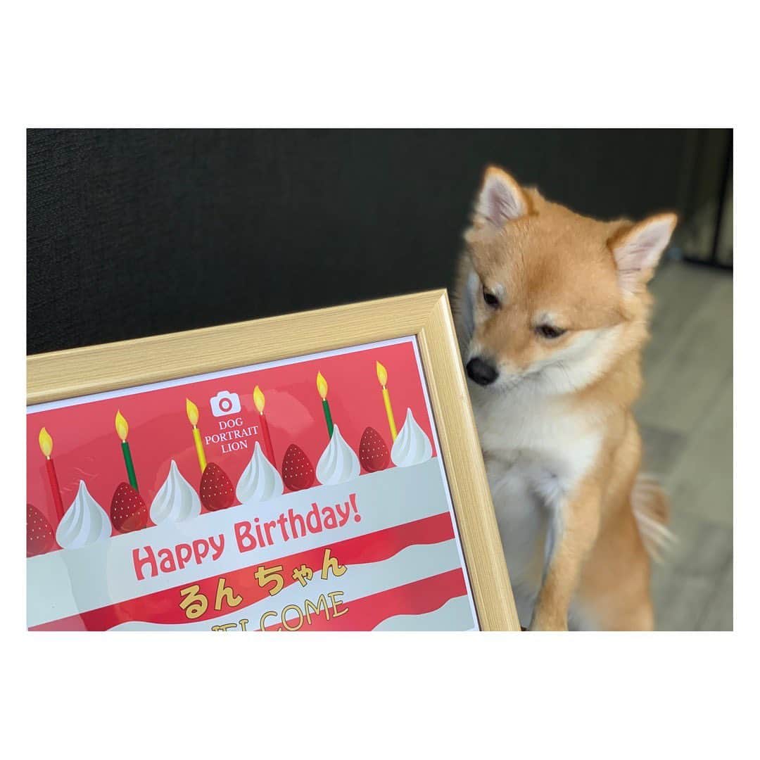 陽月華のインスタグラム