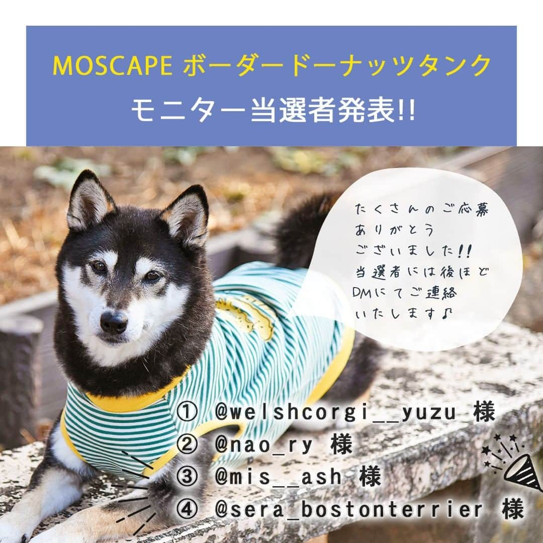 iDog&iCatのインスタグラム