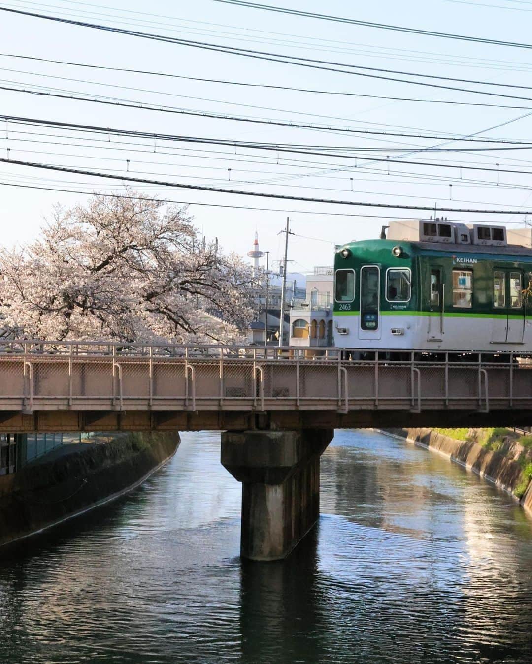 京都タワーさんのインスタグラム写真 - (京都タワーInstagram)「* PHOTOBY @shiny1628 #リポスト #おおきに  桜の側を通る京阪電車をまるで京都タワーが見守っているかのような美しい1枚です📷  素敵なお写真のご投稿、ありがとうございました👏  ----- @kyototowerhotel_officialをタグ付け、または【#京都タワー】か【#kyototower】をつけて投稿していただいたユーザーさまの素敵なお写真をご紹介していきます -----  #鉄道 #電車 #train #railway #京都観光 #日本の風景 #写真好きな人と繋がりたい #京都タワーのある景色 #桜 #さくら #桜好き #そうだ京都行こう #京都旅行 #京都塔 #京都カメラ部 #instagood #discoverjapan #beautiful #other_worldly_beauty #team_jp_flower #best_moments_flower #はなまっぷ #wp_flower #kyotogenic」4月21日 17時10分 - kyototowerhotel_official