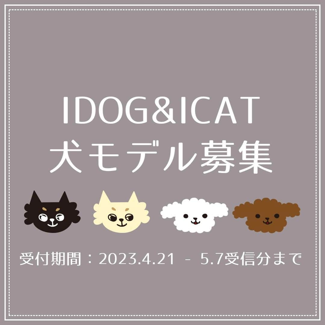 iDog&iCatのインスタグラム