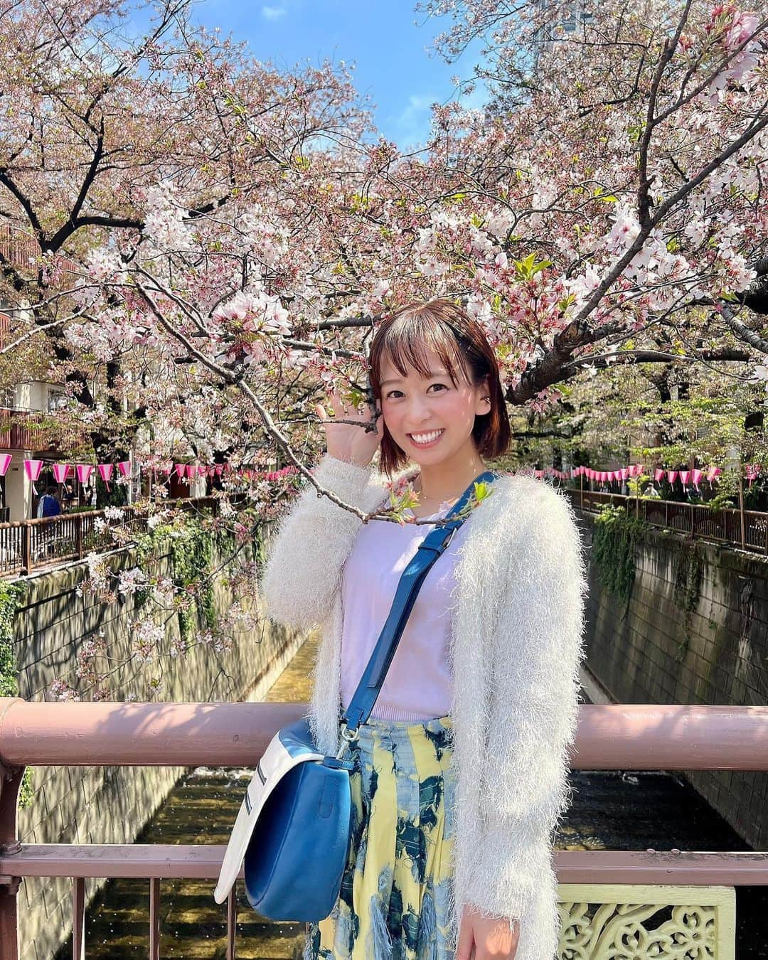 菊池良子のインスタグラム：「お花好き🌸 ・ ・ お外で鑑賞専門🙋‍♀️ 育てることもお家に持ち込むことも出来ないズボラ性格です🥹 ・ ・ #お花見　#サクラ　#ツツジ　#四季　#お散歩　#昼活　#フリーアナウンサー　#ズボラ　#花のある生活　#目黒川　#調布　#神代植物公園」