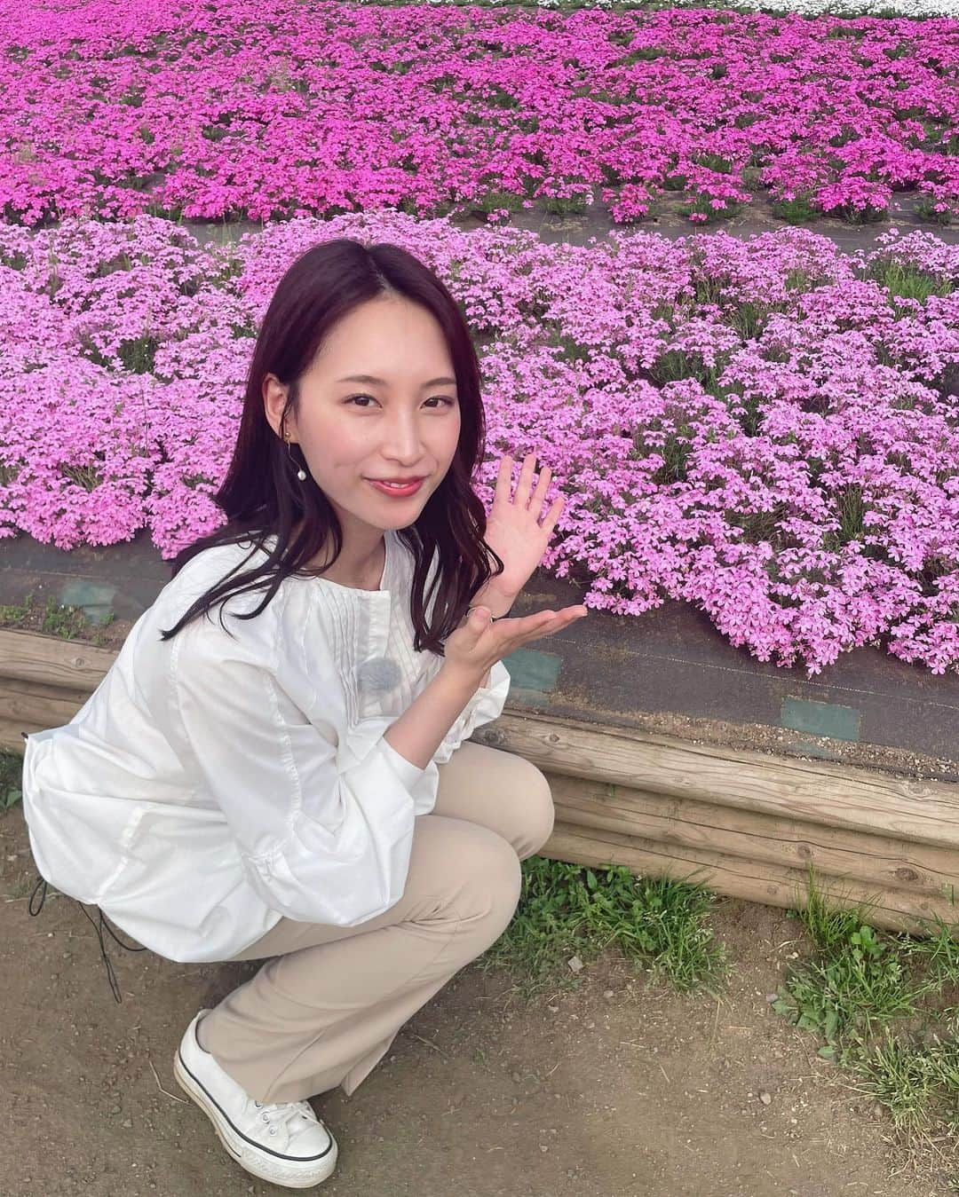 鈴元まいのインスタグラム：「今日は埼玉県秩父の芝桜まつりから中継でした🎤 どこを見渡しても満開の芝桜、とっても綺麗で癒されます☺️💕 5/7まで開催されていますが今が最も見頃だそうなので気になる方はぜひお早めに🏃‍♀️✨  #芝桜まつり #芝桜の丘 #羊山公園」