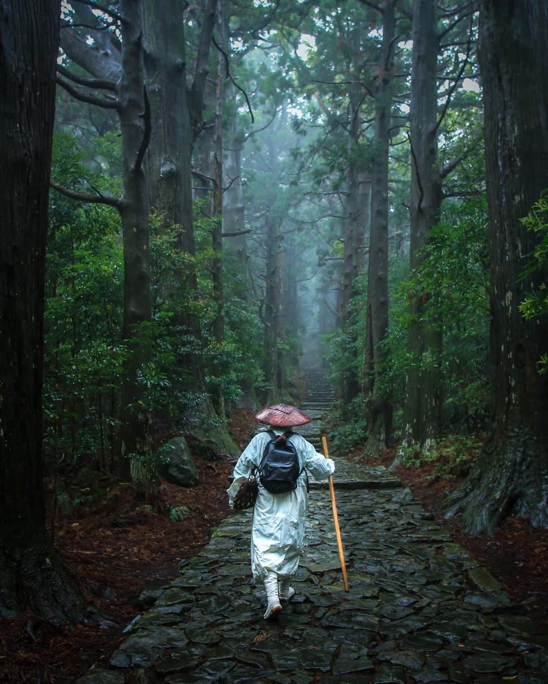 Visit Wakayamaのインスタグラム：「. A gentle mist adds to the mystical atmosphere of the ancient Kumano Kodo pilgim route. 📸 @star_roman_ 📍 Daimon-zaka, Wakayama」