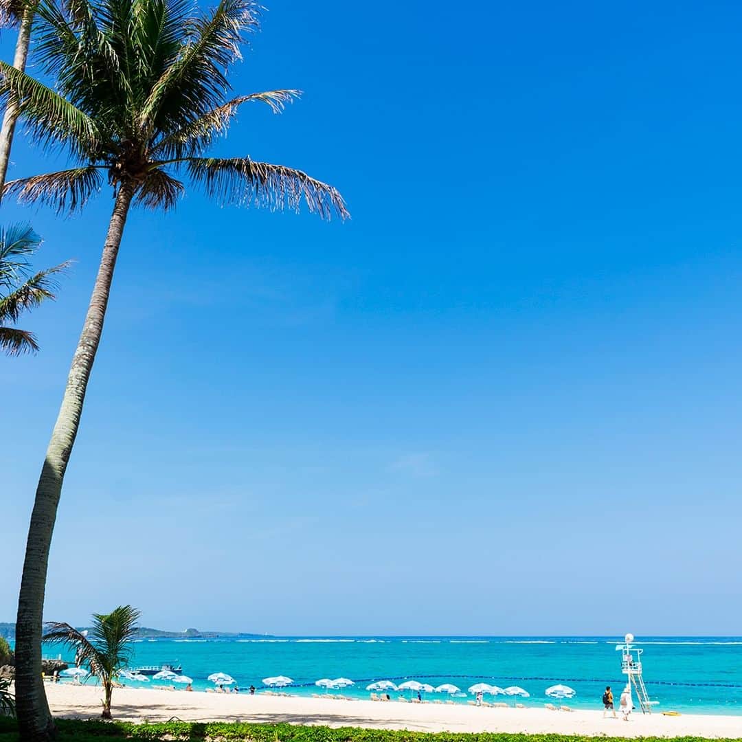 ホテルムーンビーチのインスタグラム：「4月16日、朝のビーチ。 Beach at morning April 16,2023  #ザムーンビーチミュージアムリゾート #ムーンビーチ #リゾート #沖縄 #沖縄観光 #沖縄ビーチ #沖縄旅行 #恩納村 #沖縄好き #沖縄好きな人と繋がりたい #旅行好きな人と繋がりたい #リゾート好きな人と繋がりたい #旅行 #japan #okinawa #themoonbeachmuseumresort #okinawabeach #okinawatrip #onnason #visitjapanjp #hotelmoonbeach #moonbeach」
