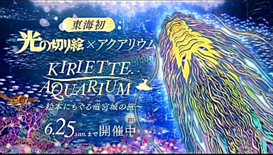 太田英里さんのインスタグラム写真 - (太田英里Instagram)「【出演情報】 南知多ビーチランド様TVCM 『光の切り絵×アクアリウム KIRIETTE　AQUARIUM ～絵本にもぐる竜宮城の旅～』に 出演させていただきました！  公式Instagramからも ご覧いただけるので、 是非チェックお願い致します☺️  #南知多ビーチランド #愛知 #観光 #アクアリウム」4月21日 18時05分 - eririiin56