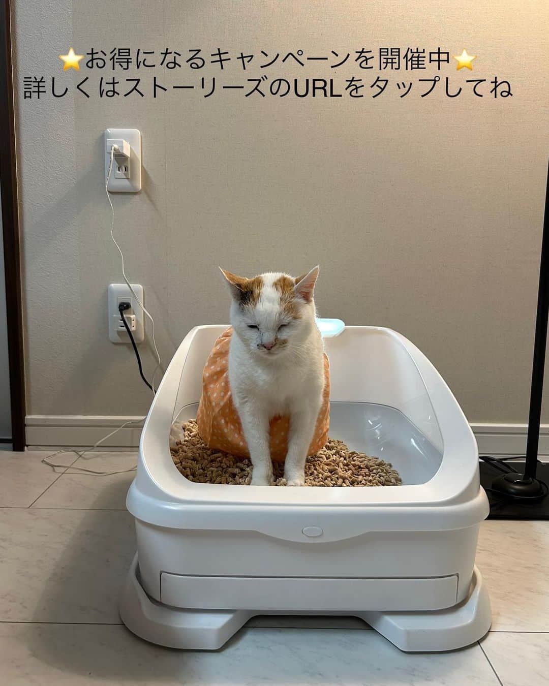 マルさんのインスタグラム写真 - (マルInstagram)「🉐猫のトイレ【トレッタ】 お得なキャンペーンを開催中ですよ  トイレに入った回数や滞在時間、尿量、体重、している動画も確認できる カメラ付きの猫のトイレ【トレッタ】を 使うようになってから マルちゃんのトイレパターンを 知ることができ健康管理に役立ててます。 外出してても『トイレ入りました』って お知らせが届くので🤭うふって 思いながら動画見るのも楽しいです。 ₍^·͈༝·͈^ฅみみん💦  🔸総額 ６，９７８円分🔸 お得になるキャンペーンを開催中 【キャンペーン期間】 4月12日(水)から4月30日(日)  🔸トレッタ本体2,000円OFF 🔸初月1,480円→無料 🔸砂 (1,980円相当) プレゼント 🔸シート (1,518円相当) プレゼント  詳細は本日の ストーリーズのリンクをタップしてね♡ ハイライトにも(期限あり)残します。  @toletta.cat #トレッタ #PR  #猫動画#猫のトイレ #もふもふ#猫との暮らし#三毛猫#猫#cat#ねこ部#ペコねこ部#にゃんすたぐらむ#みんねこ#ねこのきもち#🐈 #catstagram#catsofinstagram#gato」4月21日 18時26分 - maruruna
