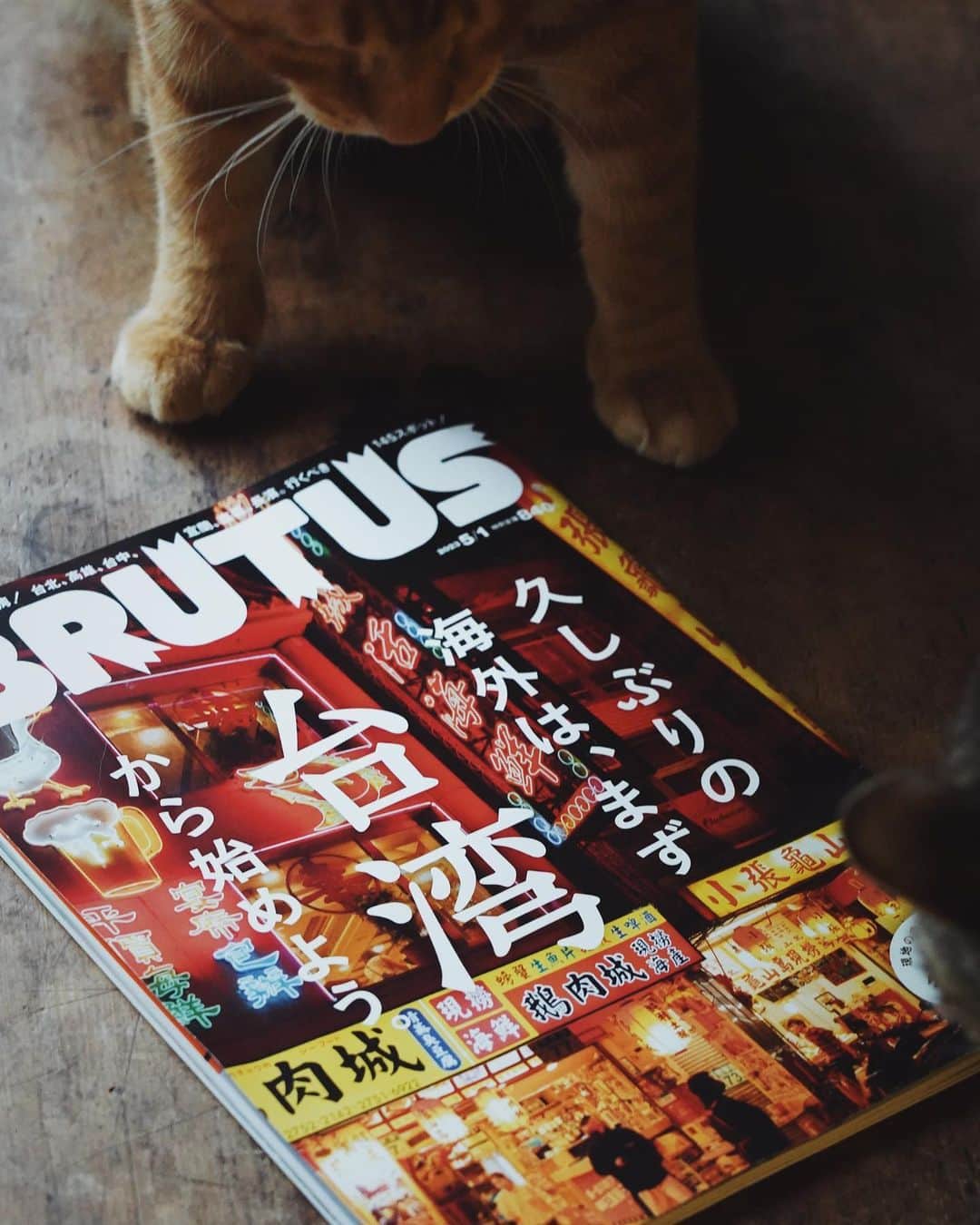 言身寸 in Tainan, Taiwanのインスタグラム：「謝謝 @brutusmag   #本事空間製作所 成就解鎖   謝謝 @hiboru.taipei  @chanchihotpotlab  @remedy.by.sip  @moonrock.tw  帶本事飛 - #本事空間製作所台南工事部 - 2023.4.21 #taiwan #tainan #台灣 #台湾 #台南 #写真」