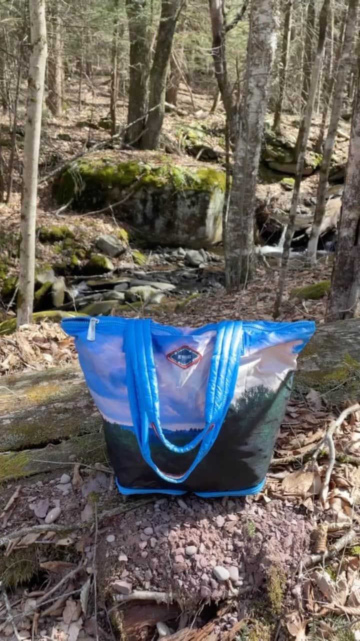 MZウォレスのインスタグラム：「Celebrate #earthday with our 100% Recycled Packable Market Tote in Woodland Print. Today and tomorrow, we’re donating 10% of all sales sitewide to our ongoing partnership with @theconservationfund ♻️」