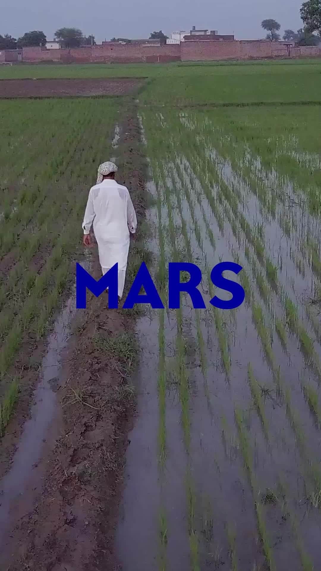 Marsのインスタグラム