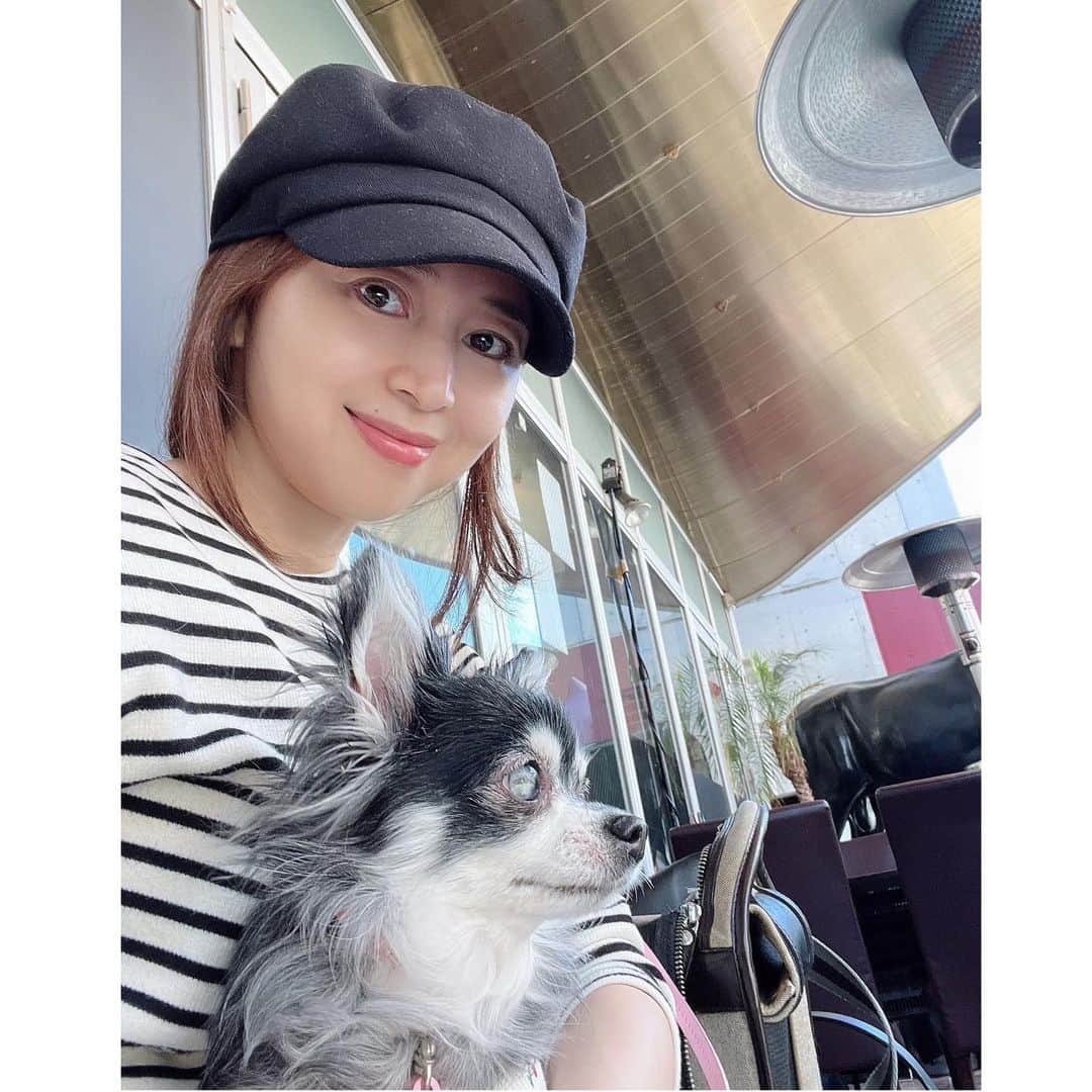 中野公美子のインスタグラム：「先日お天気がとっても良かったので、 ルーナと一緒にテラスランチをしました😊🐶 テラス席に私達しか居なかったので、 ゆっくり出来て最高だった✨  #ランチ #すっぴん #テラス #犬連れ #犬連れランチ　 #46歳 #チワワ #chihuahua #チワワ13歳 #ローストビーフ丼 #lunch」
