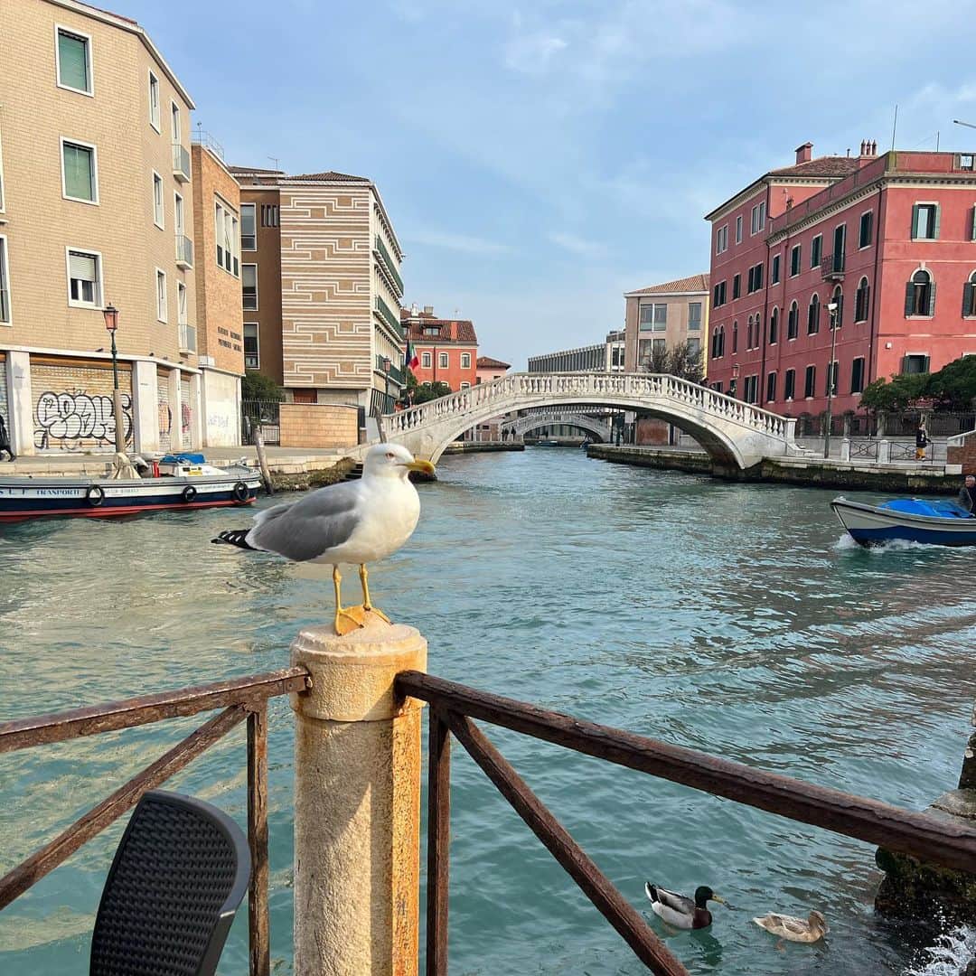 山尾梨奈さんのインスタグラム写真 - (山尾梨奈Instagram)「〻 Venezia, Italia, marzo 2023  🍋🪟🛶🦆🦐🐚🦑🦪🍅🧂⚓️🛟」4月21日 20時56分 - yamarina_1210