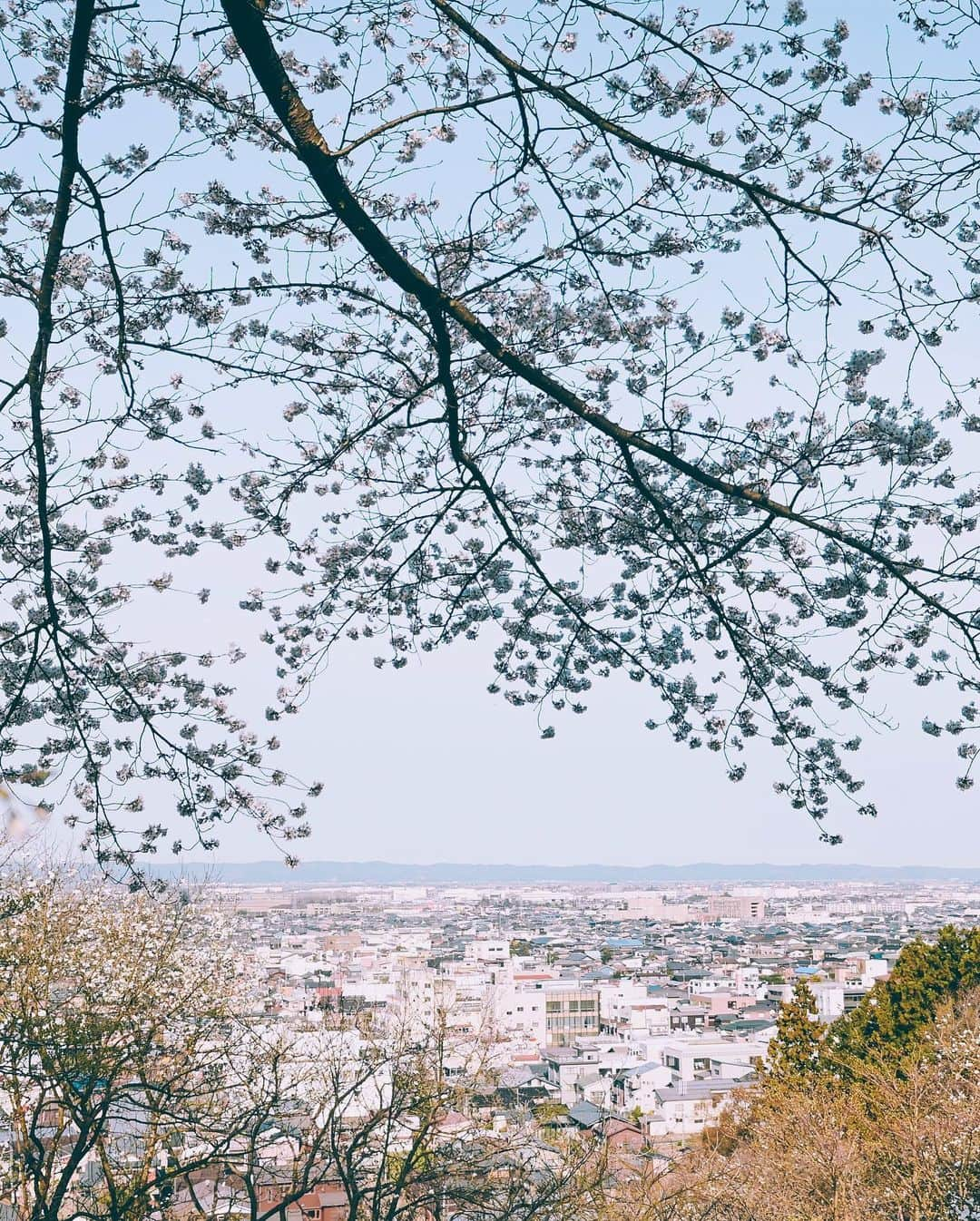 yukiさんのインスタグラム写真 - (yukiInstagram)「#観音山公園 #水道山公園 #桜 ・ 『桜咲く季節に…』 The scenery we have seen Another story  ・ ・ __________________________ 日々の撮影記事やコラム更新中！ ・・・・・・・・・・・・・・・ ◉FAN限定サイト◉ https://www.fansnet.jp/sty830 __________________________  #instagram #instagramjapan #bestjapanpics #wonderful_places #hello_worldpics #earthfocus #earthofficial #beautifuldestinations #fantastic_earth #travelanddestinations  #awesomepix #visualambassadors #earthpix #visitjapanjp #travelingthroughtheworld #artofvisuals #bestplacestogo #discoverer #welivetoexplore #tokyocameraclub」4月21日 21時06分 - sty830