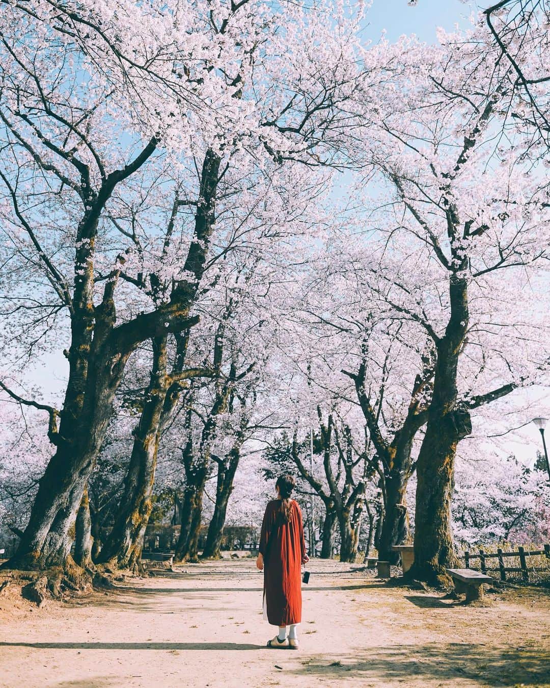 yukiさんのインスタグラム写真 - (yukiInstagram)「#観音山公園 #水道山公園 #桜 ・ 『桜咲く季節に…』 The scenery we have seen Another story  ・ ・ __________________________ 日々の撮影記事やコラム更新中！ ・・・・・・・・・・・・・・・ ◉FAN限定サイト◉ https://www.fansnet.jp/sty830 __________________________  #instagram #instagramjapan #bestjapanpics #wonderful_places #hello_worldpics #earthfocus #earthofficial #beautifuldestinations #fantastic_earth #travelanddestinations  #awesomepix #visualambassadors #earthpix #visitjapanjp #travelingthroughtheworld #artofvisuals #bestplacestogo #discoverer #welivetoexplore #tokyocameraclub」4月21日 21時06分 - sty830
