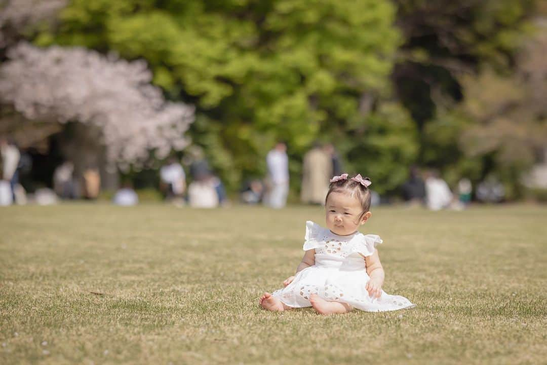 仲村美香さんのインスタグラム写真 - (仲村美香Instagram)「桜の時期にニューボーン、 お宮参りの撮影をして頂いた @shainon.newborn さんに 素敵な家族写真を撮って頂きました😭💕  なかなかお外でちゃんと撮る機会が無いから 自然な日常風景凄く嬉しい🥲🥲🥲♡  初めての芝生で固まってる 娘ちゃんがツボでした。笑  新宿御苑初めて行ったのですが 大きな桜の木がたくさんあって 凄く素敵だった😭🌸 来年も行きたい♡  娘ちゃんは今月で10ヶ月になります👶❤️ あっという間だなぁ。  毎日毎日、本当に1日が早くて なるべく一緒に居たいと思うけど しんどい日も出てきたり。笑 色々葛藤がありますが 出来るだけ一緒に居て 娘の成長を見てあげたいな。  最近は立ったりハイハイしたり 段差も上っていっちゃうし 自己主張も出来るようにになって 怒ったり泣いたりすることも✨笑  どんどん大変になっていくけど 成長してるって事だね🤣💗  私が笑うとニッコリ笑顔になる娘ちゃんが 愛おしくて大好き♡♡♡ その笑顔が絶えないように ママは頑張るぞ☺️🫶」4月21日 20時59分 - mikapu0519