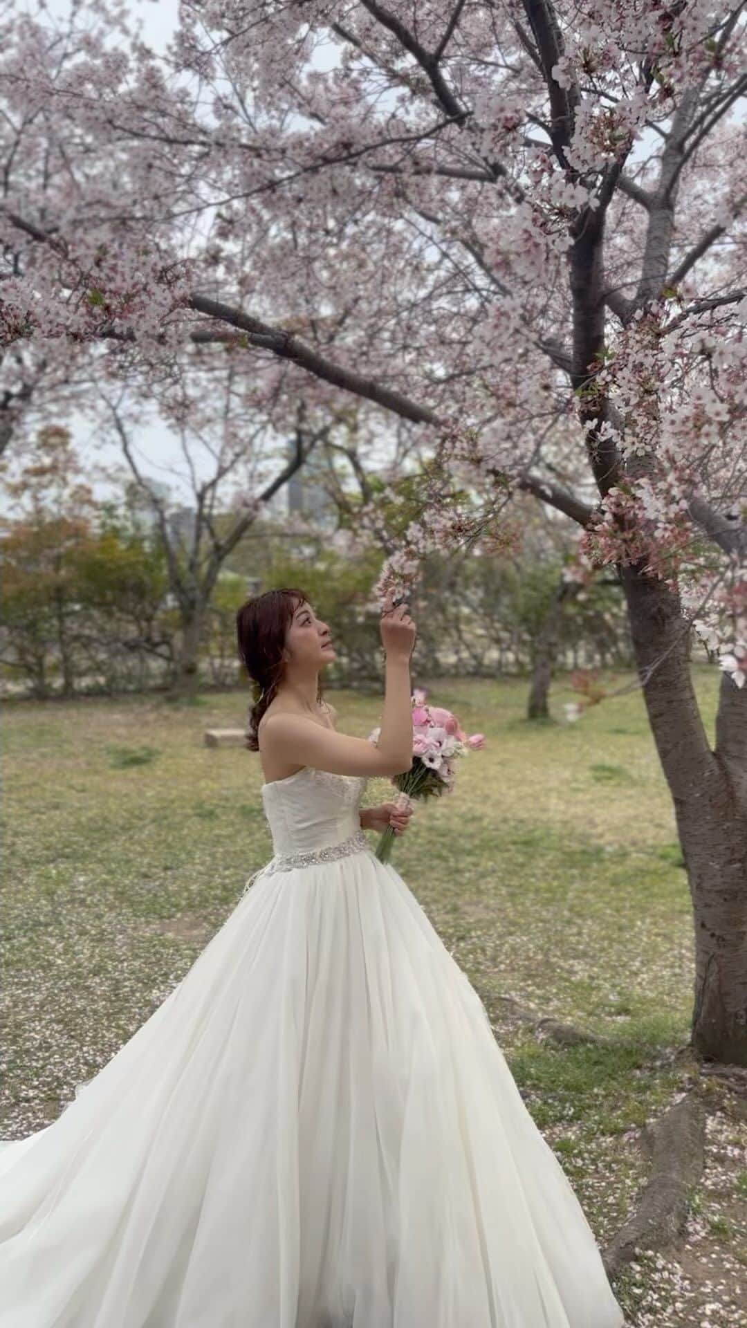 大進ウェディングのインスタグラム：「.  . . 🌸🌸🌸 . #spring  #春フォト  ୨୧┈┈┈┈┈┈┈┈┈┈┈┈୨୧୨୧┈┈┈┈┈┈┈┈┈┈┈┈୨୧ . . 春フォトキャンペーンに引き続き 5/1より新緑キャンペーン開催となります* 詳しくはプロフィールTOPのURLをtap!! @daishin.sosha_wedding」
