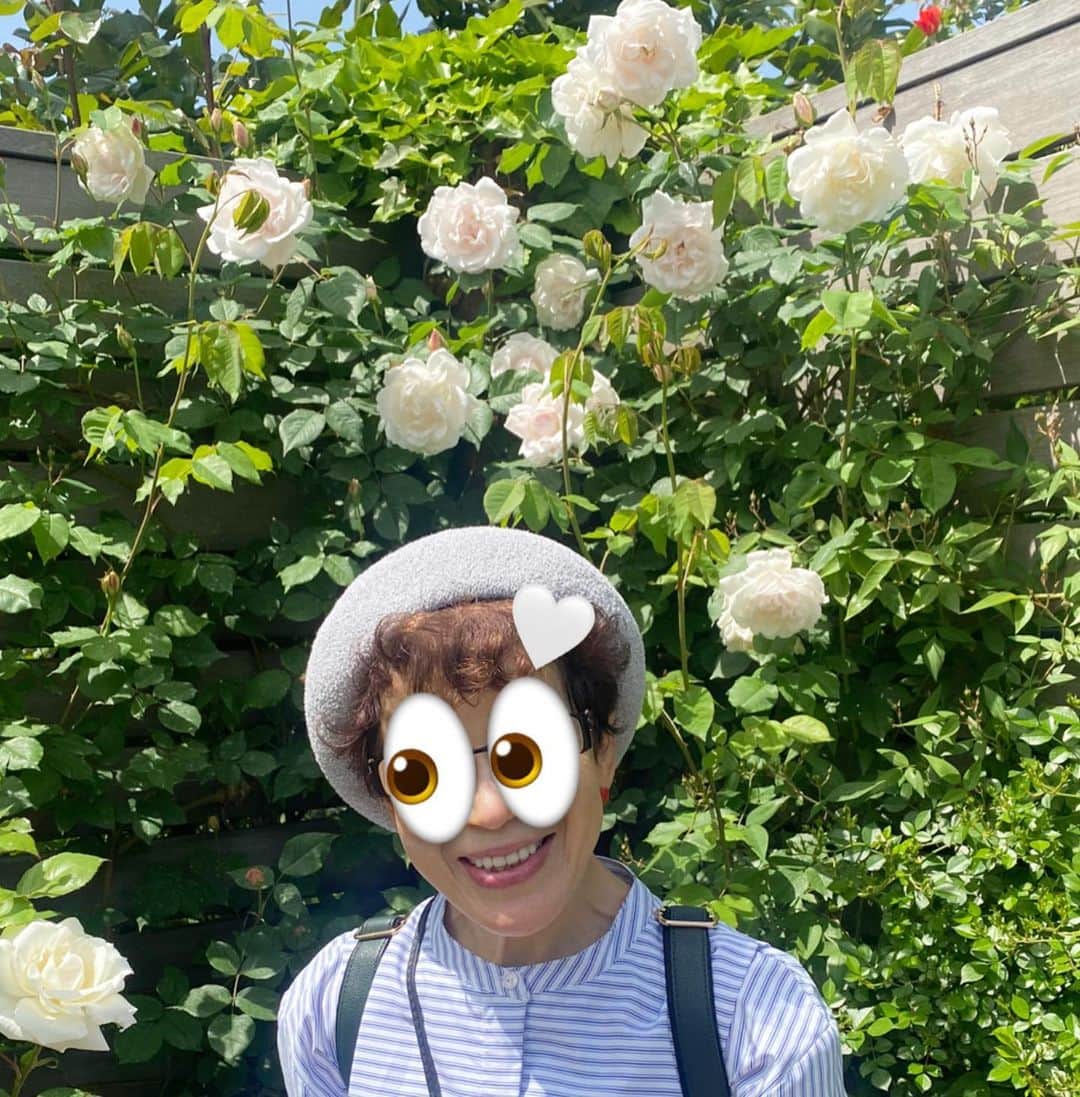 小森虹那さんのインスタグラム写真 - (小森虹那Instagram)「💐  北海道から1人でやってきた、 パワフルおばぁちゃんと急遽デート🤍  #横浜イングリッシュガーデン #イングリッシュガーデン #お花 #お花見 #横浜観光 #横浜デート」4月21日 21時09分 - kmr__27