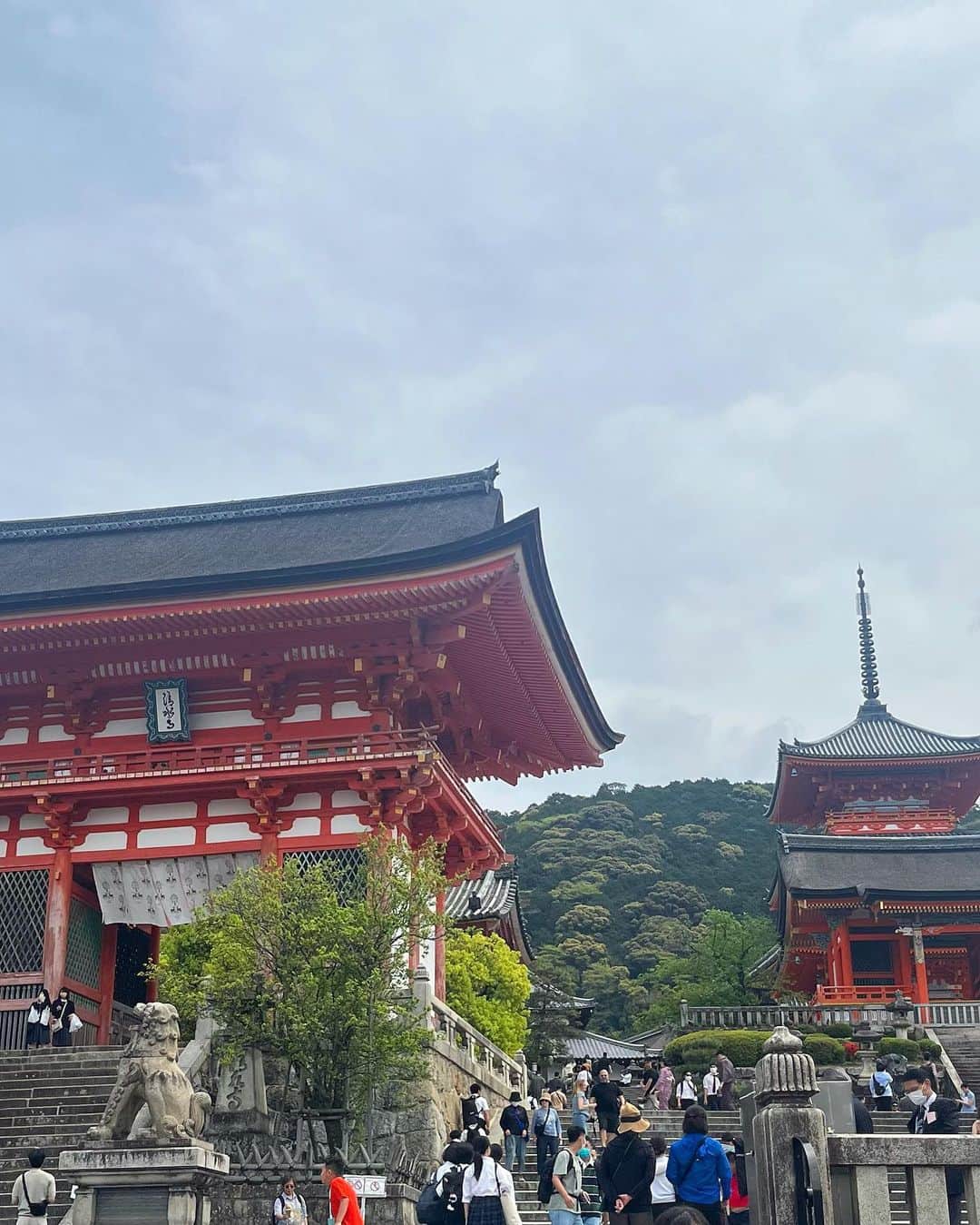 大平萌笑さんのインスタグラム写真 - (大平萌笑Instagram)「遠足で京都へ🚌⛩  今日は本当に暑かった、、！25度、夏だ🫠  いっぱい歩いていっぱい食べました🍡  アルバム委員だから卒業アルバムのためにデジカメ持って写真を📸」4月21日 21時10分 - ohiramoe