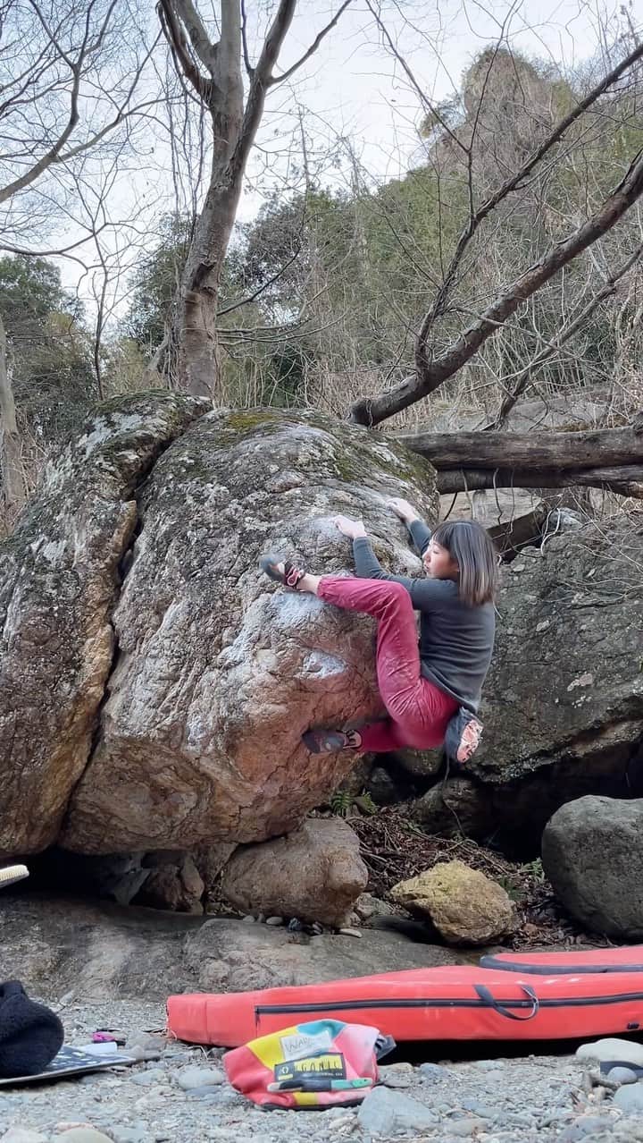 尾上彩のインスタグラム：「太郎岩カンテSD(1級/初段)🦌 ヨレすぎてて今にも落ちそうなプルプルクライミング😂 ・ @patagoniajp @patagonia_climb #climbing #climblikeagirl #bouldering #クライミング #ボルダリング #下仁田ボルダー」