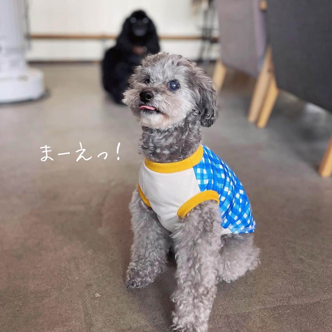 ikumiのインスタグラム