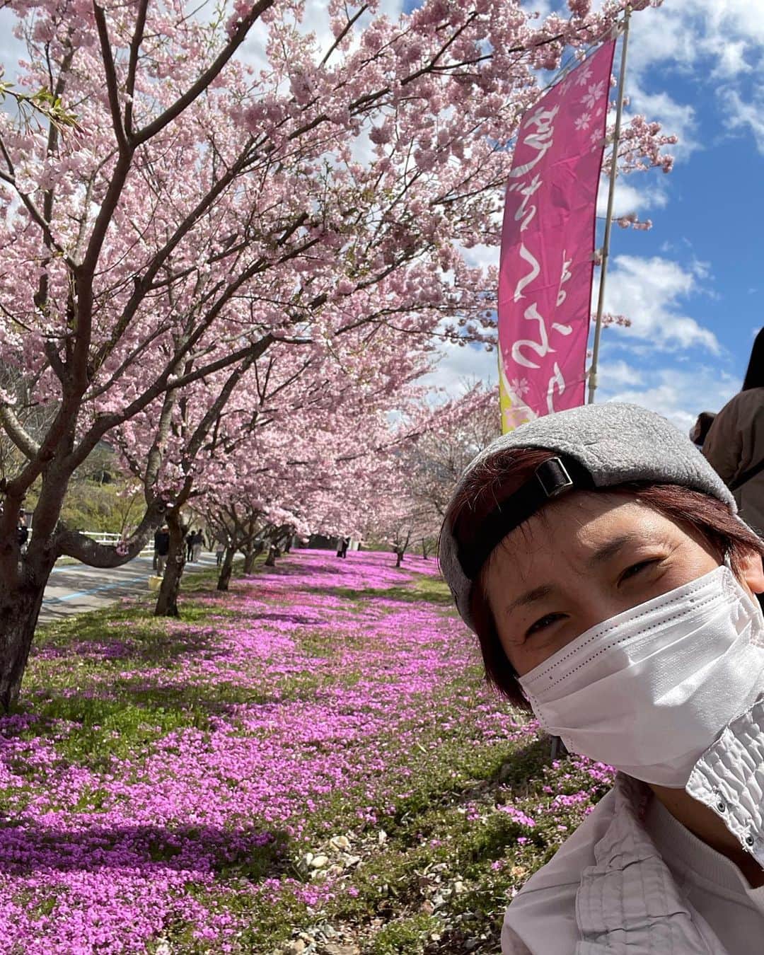 高橋みゆきさんのインスタグラム写真 - (高橋みゆきInstagram)「先週やまホリで山形行った時🚄 山形市・天童市にある立谷川の芝桜見に行ってきたよ🌸立谷川の花さかじいさん🌸という市民の団体さんがボランティアでお世話してるらしい❣️この前の週だったら桜ももっと咲いてたかなぁ😅でも綺麗でした👏 #山形市 #芝桜 #チューリップも🌷綺麗」4月21日 21時29分 - shin_miyukichi