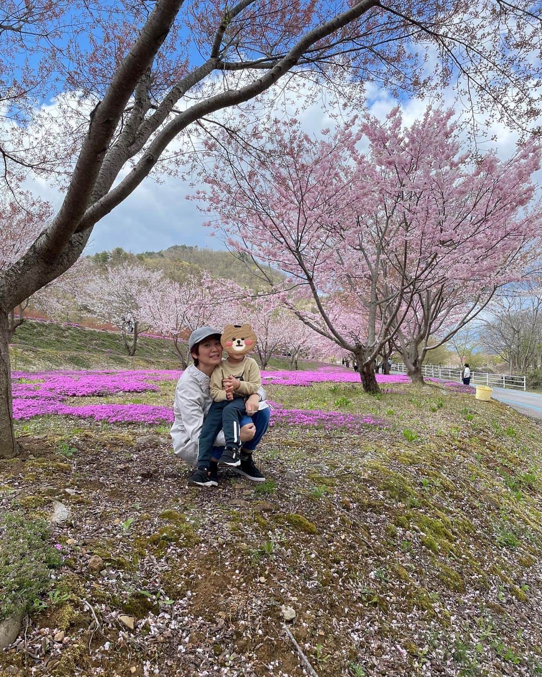 高橋みゆきのインスタグラム：「先週やまホリで山形行った時🚄 山形市・天童市にある立谷川の芝桜見に行ってきたよ🌸立谷川の花さかじいさん🌸という市民の団体さんがボランティアでお世話してるらしい❣️この前の週だったら桜ももっと咲いてたかなぁ😅でも綺麗でした👏 #山形市 #芝桜 #チューリップも🌷綺麗」