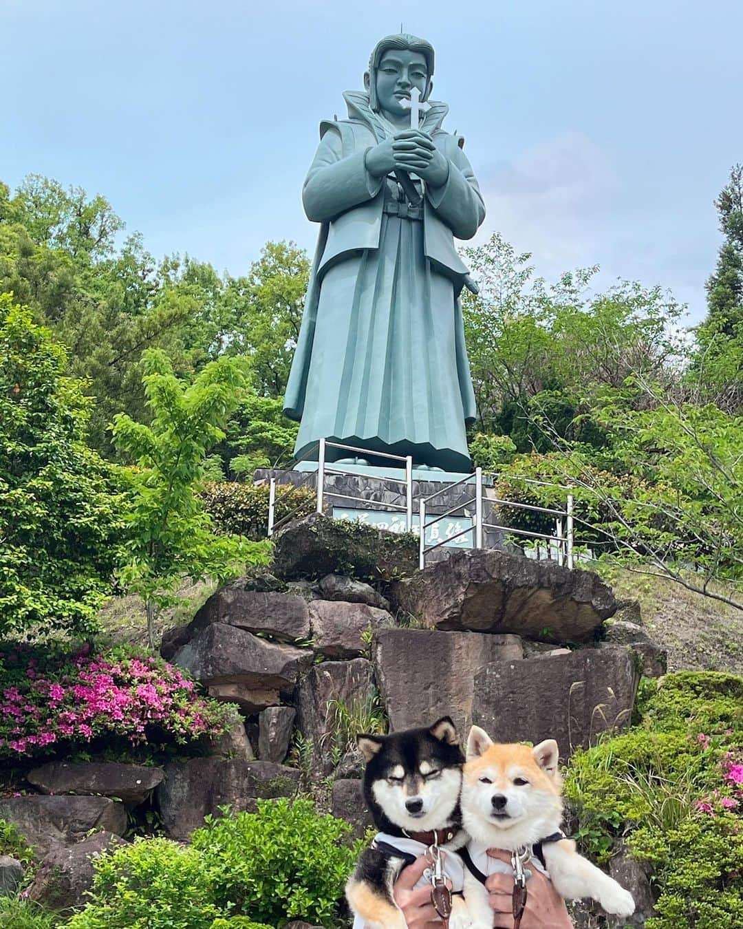 豆柴なつ&ふゆのインスタグラム