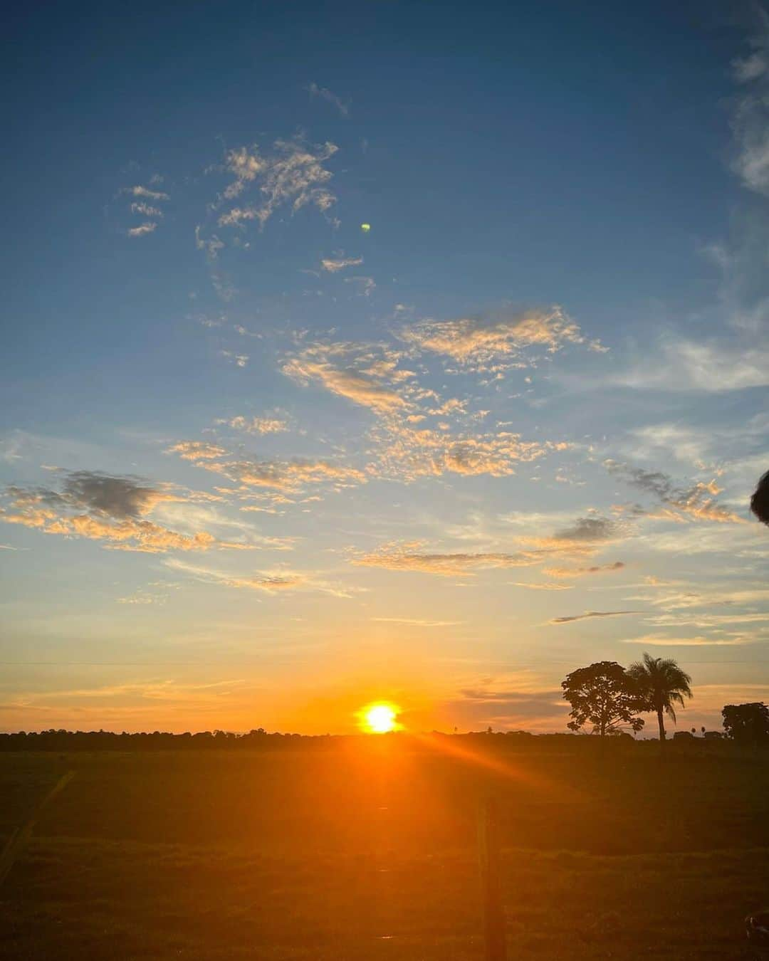 ジュリアナ・パエスさんのインスタグラム写真 - (ジュリアナ・パエスInstagram)「E a saudade que eu tenho do meu #Pantanal? Memórias e registros de momentos lindos dos bastidores desse trabalho que marcou a minha vida! ❤️」4月22日 5時00分 - julianapaes