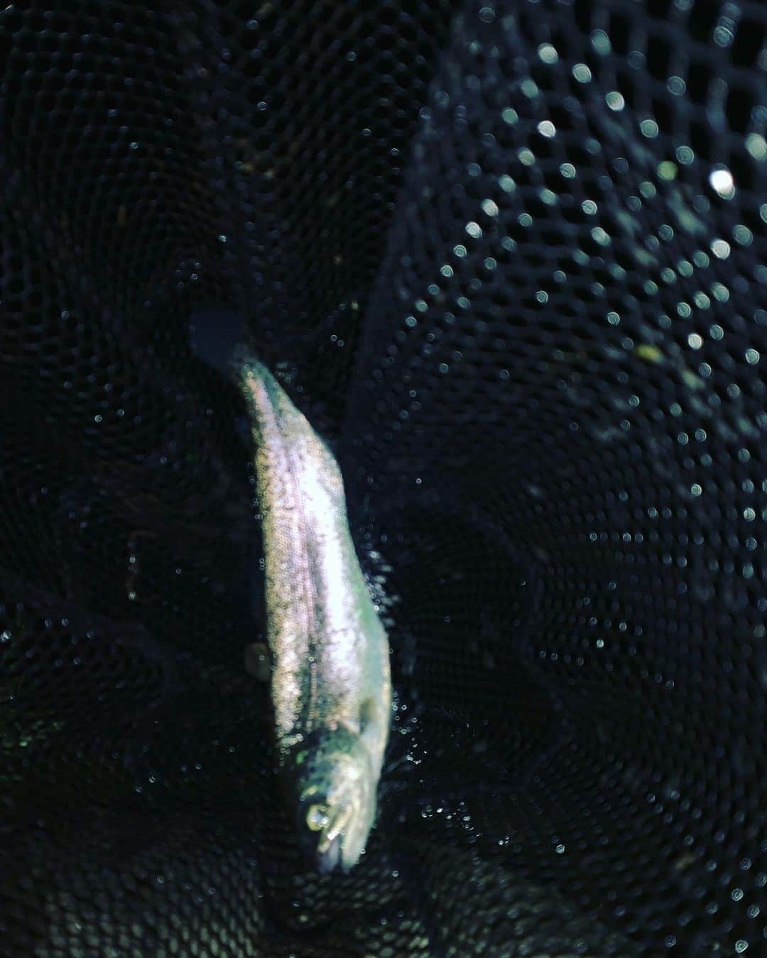 Natsukiさんのインスタグラム写真 - (NatsukiInstagram)「またすっごく釣りがしたくなってちょっとだけ行ってきた！」4月21日 21時52分 - natsuki_bassist
