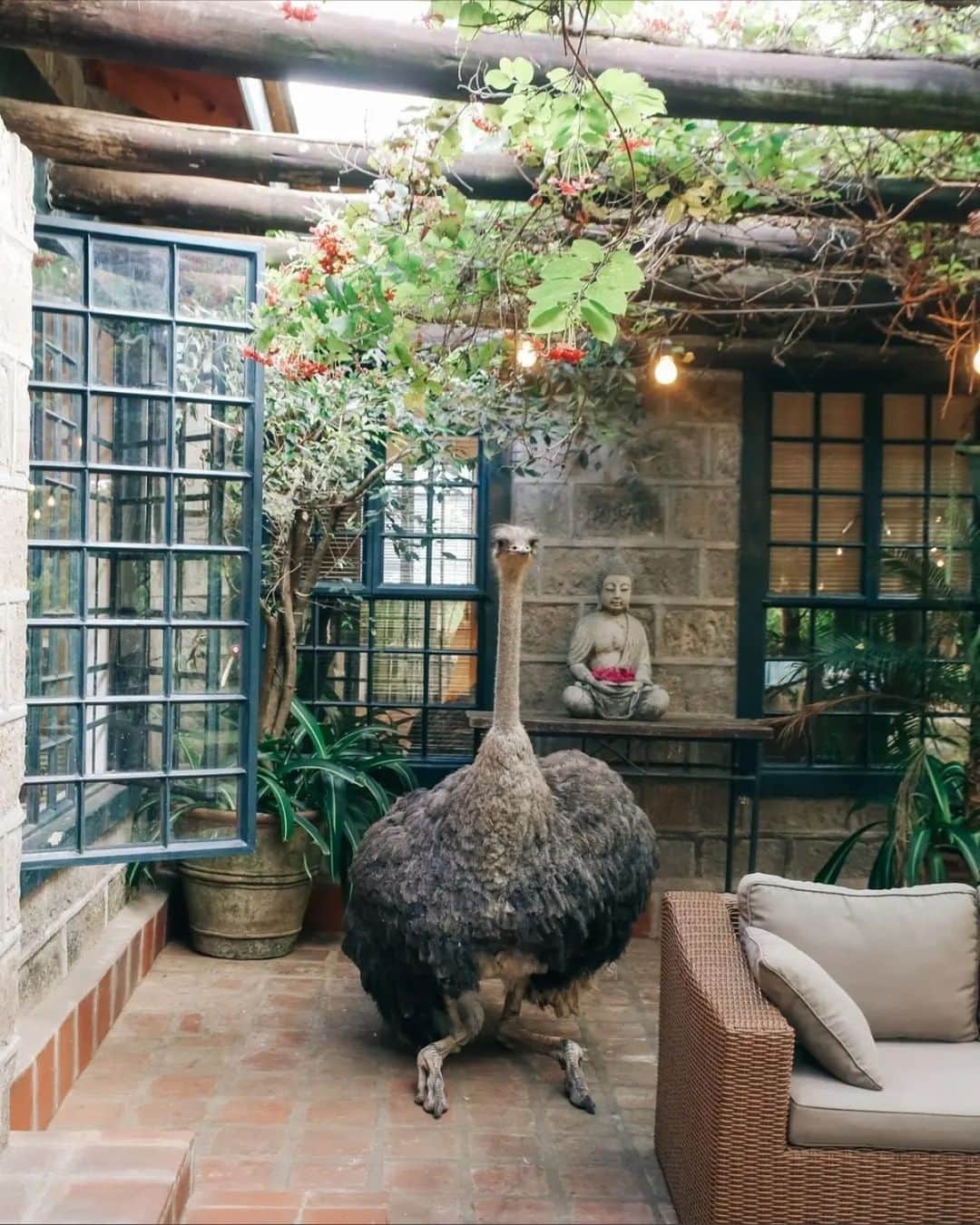 Airbnbのインスタグラム：「Get out and make new farm friends.」