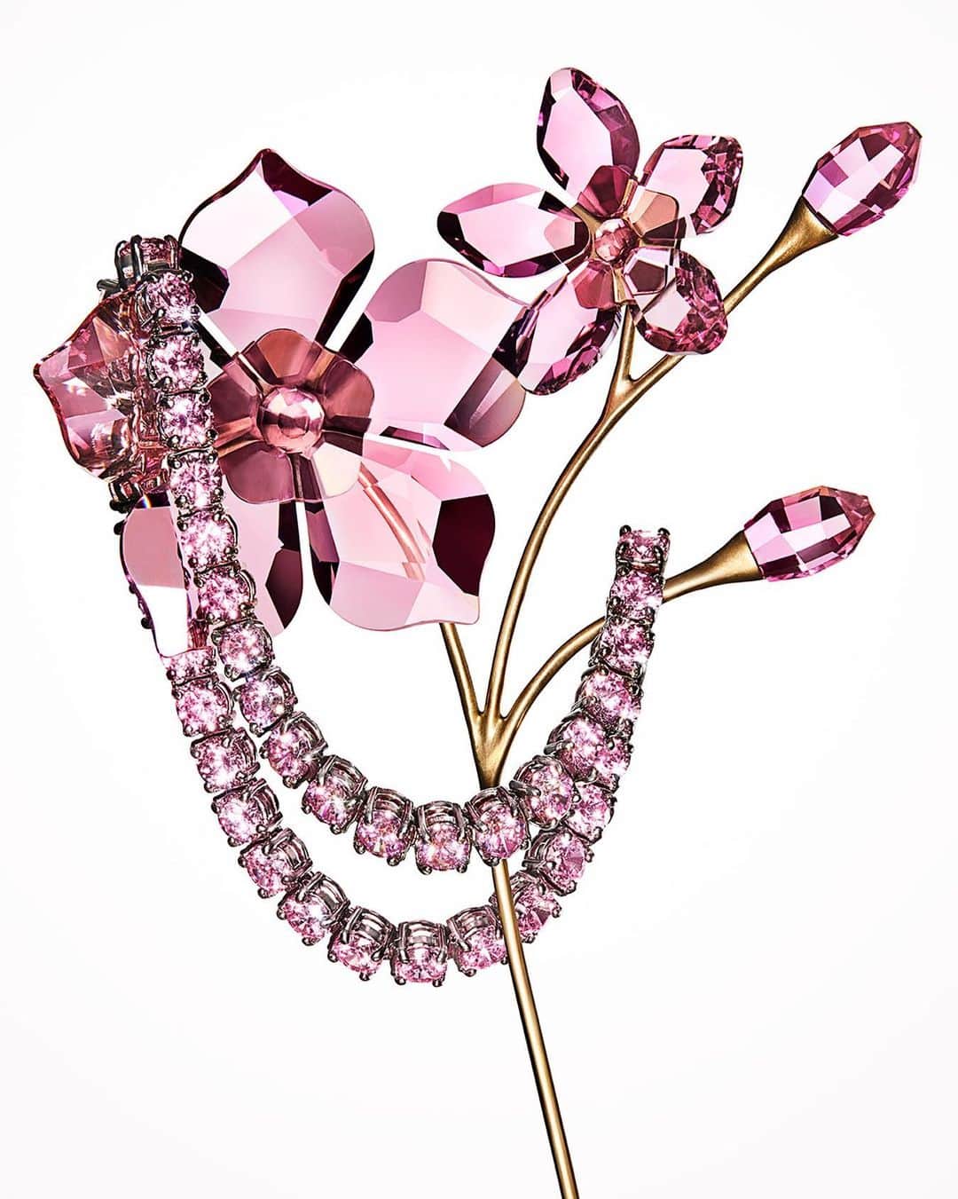 SWAROVSKIのインスタグラム