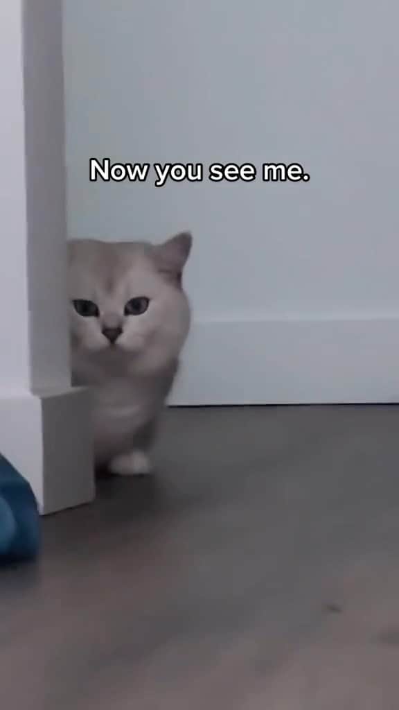 のインスタグラム：「👀」