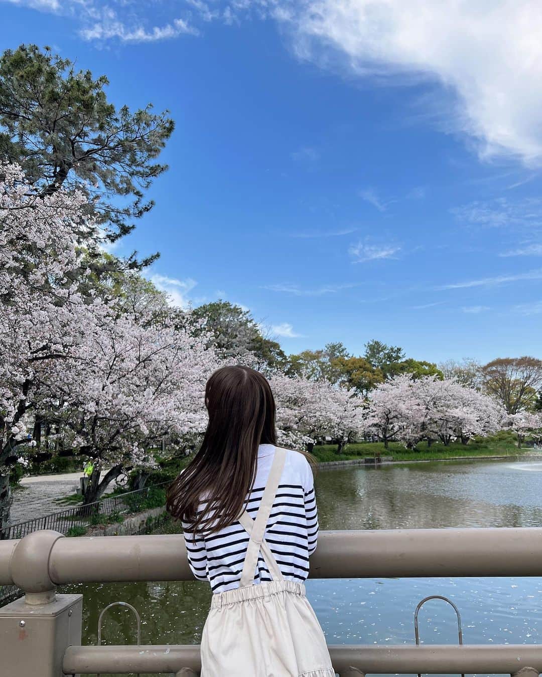 熊崎晴香さんのインスタグラム写真 - (熊崎晴香Instagram)「⁡ ⁡ お花見した時の🌸 ⁡ ここ最近暖かいね。 というか暑い？☀️ ⁡ #桜　#cherryblossom #名城公園 #🌸」4月21日 22時13分 - kumakuma9810