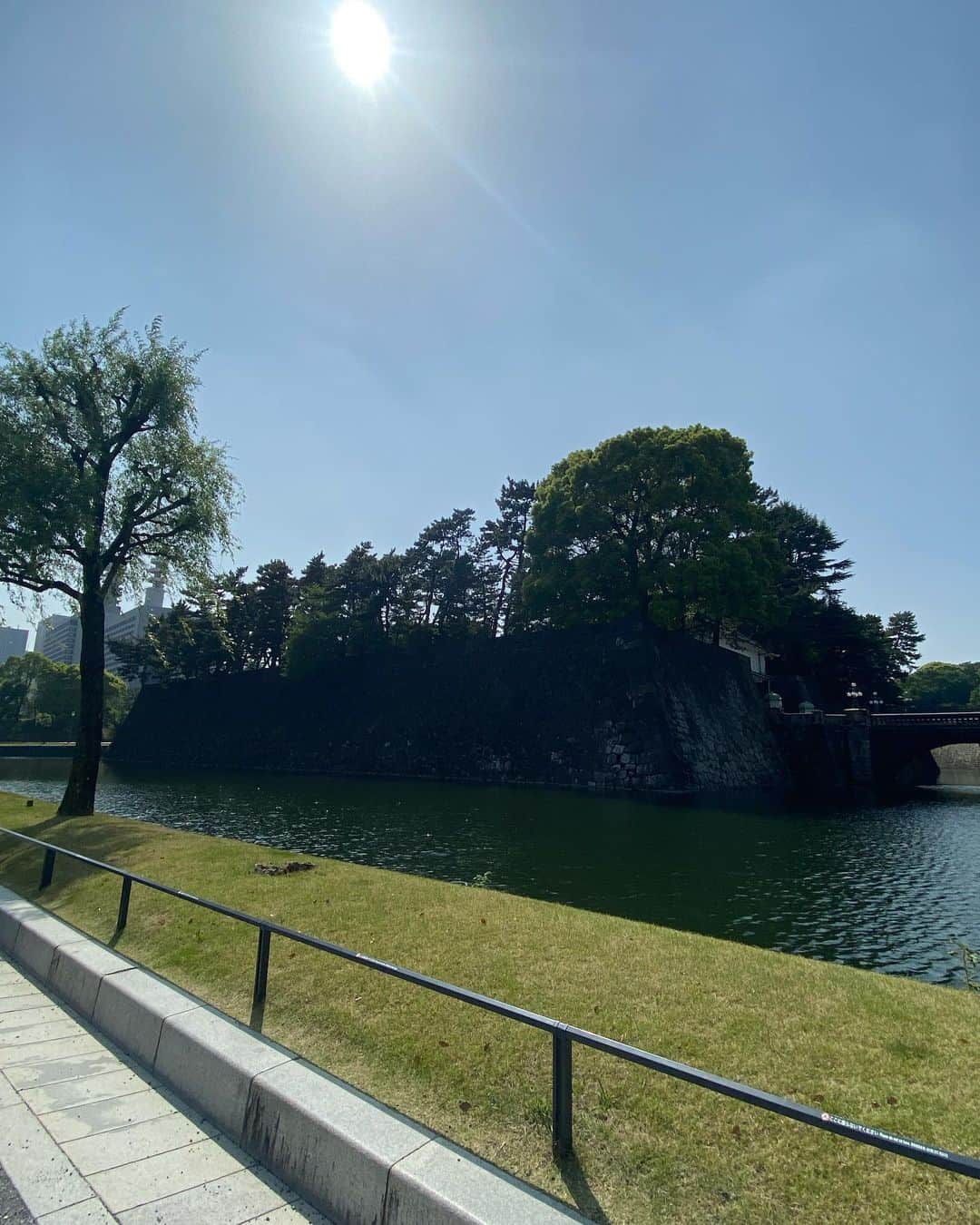 佐伯紅緒さんのインスタグラム写真 - (佐伯紅緒Instagram)「これからいろいろ忙しくなるので景気づけに皇居へ行ってきました。  なんでも皇居周辺はまるごと都内屈指のパワースポットなんだそうです。  特に良い気がいただけるのは、桜田門〜二重橋前〜和田倉門の噴水コースだそうで、できれば午前中になるべく手ぶらでゆっくり歩くと良いのだとか。  ためしにその通りに歩いてみたら、本当に元気になってきたので驚きました。  さすが富士山からの龍脈の集結点、天海和尚グッジョブ、です。  プラシボでしょうか、いいえ、誰でも。  外堀に白鳥がいたのでテンションが上がりました。  いろいろパワーいただいたので、ゆるゆると始動します。  #imperialpalace  #皇居 #パワースポット #桜田門 #二重橋前 #和田倉門 #龍脈 #金子みすゞ」4月21日 22時25分 - beniosaeki