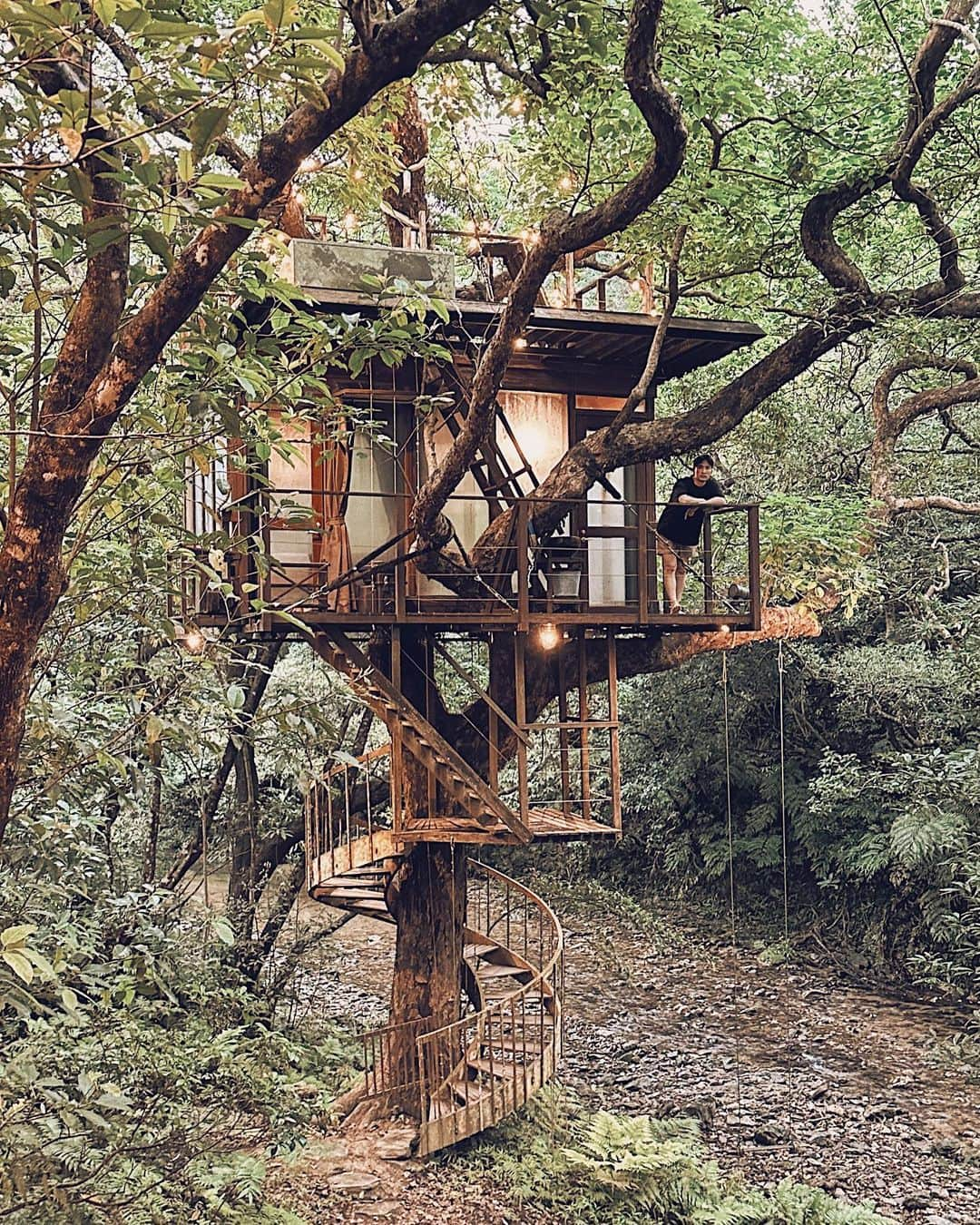 三浦大地さんのインスタグラム写真 - (三浦大地Instagram)「Sustainable Resort Treeful Treehouse @treeful.treehouse   子供の頃に夢に見たツリーハウスが大人の遊び場として日本に存在してくれていた。  木の上の寝室。  エアロハウスという快適な部屋が他にもひとつ。  サウナのツリーハウスもあって、景色を眺めながらのサウナと水風呂の代わりに川にドボンも最高が過ぎた。  ディナーはテラスでBBQ。  デザインもスタイルもスタッフも全てが優しい最先端でした。  エコで快適で楽しい。  こんなリゾートが日本にもっと増えたらいいな。  #treefultreehouse #okinawa #treehouse #ecoresort」4月21日 22時18分 - daichi_1127