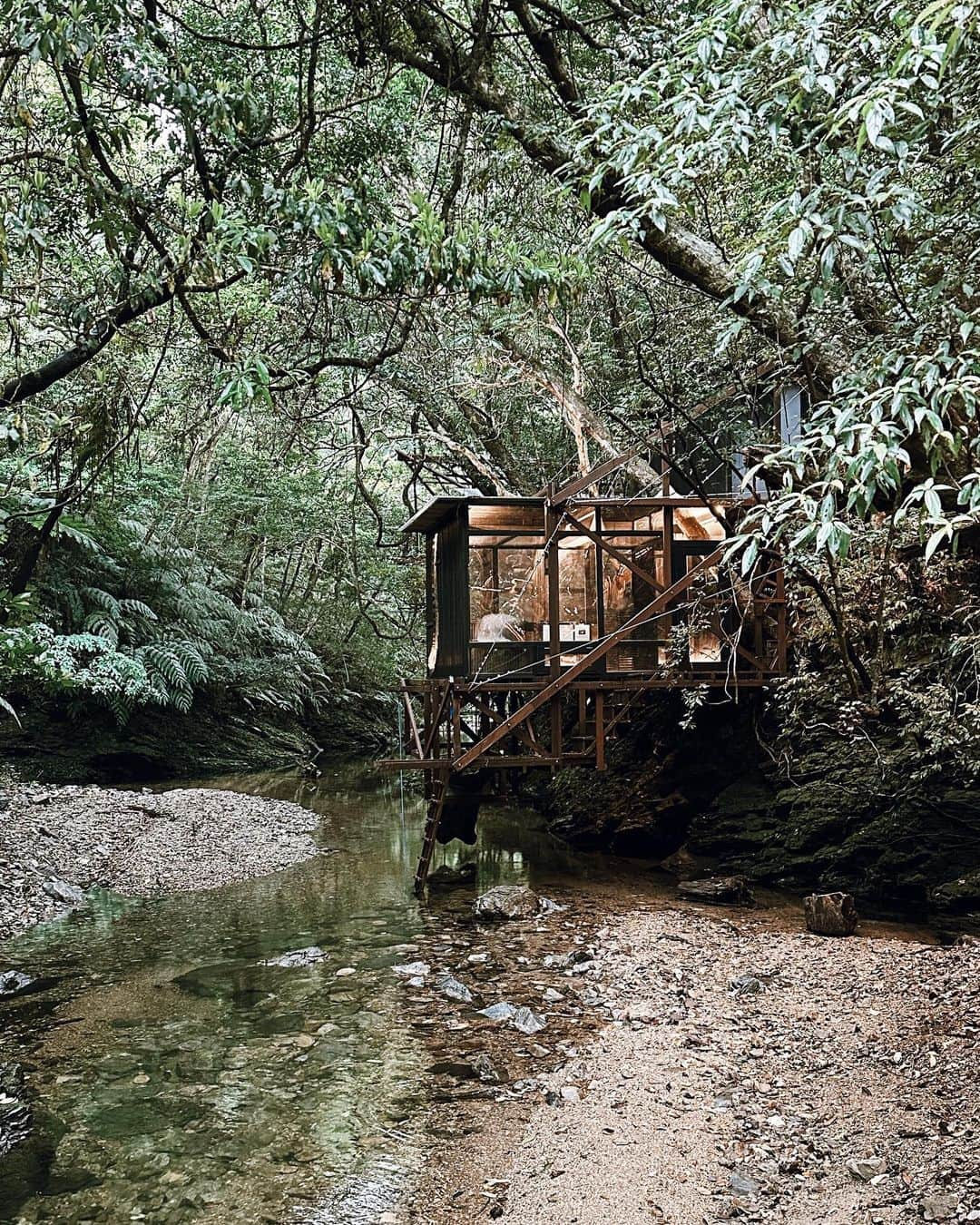 三浦大地さんのインスタグラム写真 - (三浦大地Instagram)「Sustainable Resort Treeful Treehouse @treeful.treehouse   子供の頃に夢に見たツリーハウスが大人の遊び場として日本に存在してくれていた。  木の上の寝室。  エアロハウスという快適な部屋が他にもひとつ。  サウナのツリーハウスもあって、景色を眺めながらのサウナと水風呂の代わりに川にドボンも最高が過ぎた。  ディナーはテラスでBBQ。  デザインもスタイルもスタッフも全てが優しい最先端でした。  エコで快適で楽しい。  こんなリゾートが日本にもっと増えたらいいな。  #treefultreehouse #okinawa #treehouse #ecoresort」4月21日 22時18分 - daichi_1127