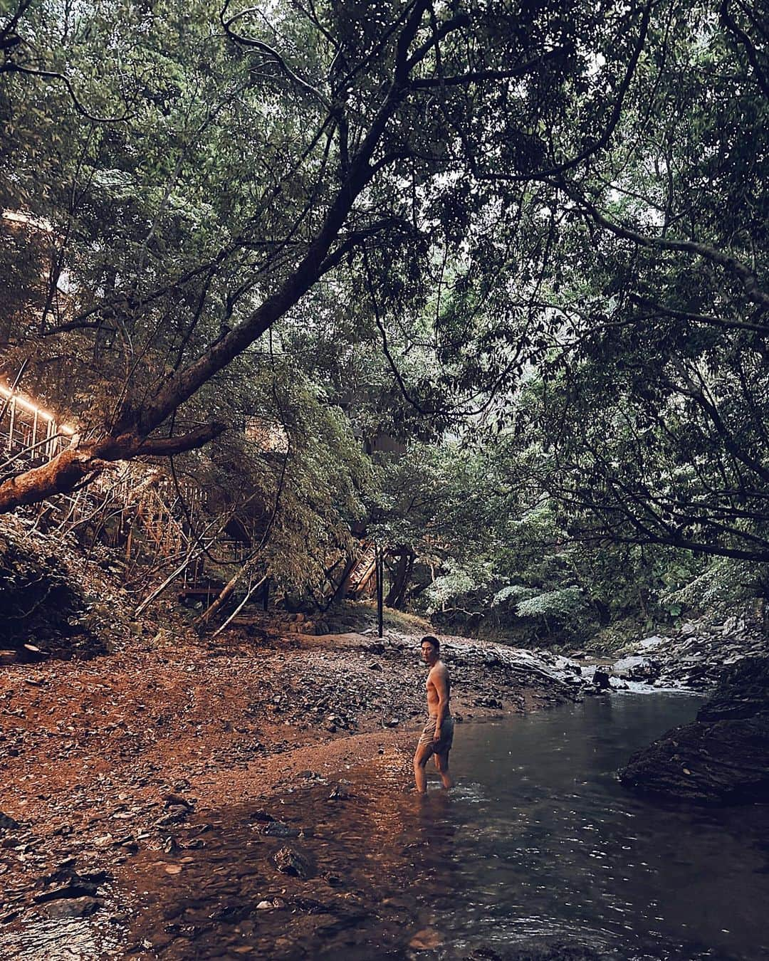 三浦大地さんのインスタグラム写真 - (三浦大地Instagram)「Sustainable Resort Treeful Treehouse @treeful.treehouse   子供の頃に夢に見たツリーハウスが大人の遊び場として日本に存在してくれていた。  木の上の寝室。  エアロハウスという快適な部屋が他にもひとつ。  サウナのツリーハウスもあって、景色を眺めながらのサウナと水風呂の代わりに川にドボンも最高が過ぎた。  ディナーはテラスでBBQ。  デザインもスタイルもスタッフも全てが優しい最先端でした。  エコで快適で楽しい。  こんなリゾートが日本にもっと増えたらいいな。  #treefultreehouse #okinawa #treehouse #ecoresort」4月21日 22時18分 - daichi_1127