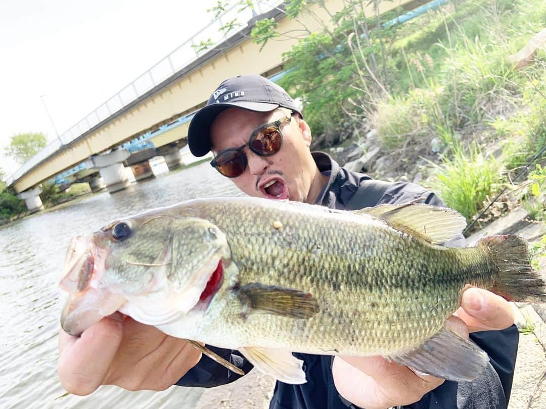 伊藤千秋のインスタグラム：「本日は午前のみの釣行😎 撃ちゃんと打ち合わせして3バイト1フィッシュ32cmの身の丈にあった2023初バスを頂戴しました！ GekizouYoshida様有難う🫶 ジグヘッド(1フィッシュ) クランク(バラシ) クランク(バックラ中のバイト) 自分にしてはホント有難い朝練でした！最高の朝練になりました🚀 ここから釣果上げて行きます🙇‍♂️ 今年はコラボ沢山して行きたい！ そしてバスブレーディングカップ企画します🙌🎣 本日はマイメンMajiko社長と釣行！ とりあえずClaps baseのDayを完成させて色々動きます！ @newerajapan  @geki_style  @oakleyjapan  @snipeer_official  @clapsstore_official」