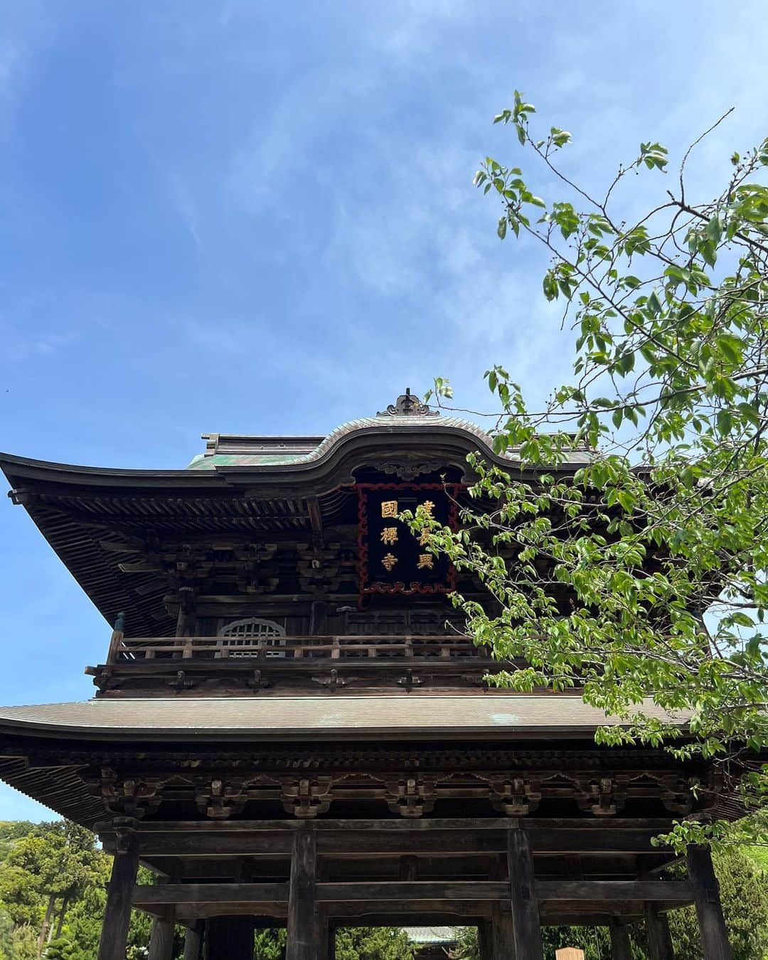 Hiroe Hiranoさんのインスタグラム写真 - (Hiroe HiranoInstagram)「マタニティ座禅🧘建長寺。 スペシャルな１日を過ごしました。 ⁡ 特別に本派専門道場など施設を見学。　 鎌倉時代から残る国宝の『梵鐘』や 建長寺に咲き誇る牡丹の花が満開で、 それはそれはお見事。美しかった💎  新緑の緑とともになんともクリアな空気が そこには流れていました🙏  ⁡ ユーモアある和尚さんのお話もとてもよかったなぁ✨ ⁡ いま感謝できることにフォーカスする。 余白を作る。 意識のお話。 ⁡ #マインドフルネス。 ⁡ まさに、本家の禅の教えを学ぶ時間でした🍵 ⁡ 今日のTIPS を日々のMeditation（瞑想）に取り入れよう。 ⁡ 置き畳をゲットしました。香りが良い🌿 この数年で御朱印帳が8冊目をクリアする アメリカ人の夫はとても喜んでいました🇺🇸笑 ⁡ ここはよく来るお寺で、#天園ハイキングコース もあり。 頂上にある #半僧坊 は、天狗👺さん達が鎮座。 富士山や湘南の海も一望できますよ✨ ここにきたら必見です✌️  #ZEN #japan #temple #kenchoji #japaneseculture #mindfulness #牡丹  #建長寺#日本文化 #zazen #マタニティ座禅  #デジタルデトックス #digitaldetox」4月21日 22時46分 - hiroe_hirano