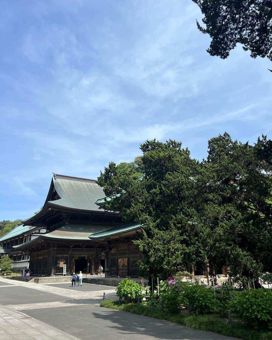 Hiroe Hiranoさんのインスタグラム写真 - (Hiroe HiranoInstagram)「マタニティ座禅🧘建長寺。 スペシャルな１日を過ごしました。 ⁡ 特別に本派専門道場など施設を見学。　 鎌倉時代から残る国宝の『梵鐘』や 建長寺に咲き誇る牡丹の花が満開で、 それはそれはお見事。美しかった💎  新緑の緑とともになんともクリアな空気が そこには流れていました🙏  ⁡ ユーモアある和尚さんのお話もとてもよかったなぁ✨ ⁡ いま感謝できることにフォーカスする。 余白を作る。 意識のお話。 ⁡ #マインドフルネス。 ⁡ まさに、本家の禅の教えを学ぶ時間でした🍵 ⁡ 今日のTIPS を日々のMeditation（瞑想）に取り入れよう。 ⁡ 置き畳をゲットしました。香りが良い🌿 この数年で御朱印帳が8冊目をクリアする アメリカ人の夫はとても喜んでいました🇺🇸笑 ⁡ ここはよく来るお寺で、#天園ハイキングコース もあり。 頂上にある #半僧坊 は、天狗👺さん達が鎮座。 富士山や湘南の海も一望できますよ✨ ここにきたら必見です✌️  #ZEN #japan #temple #kenchoji #japaneseculture #mindfulness #牡丹  #建長寺#日本文化 #zazen #マタニティ座禅  #デジタルデトックス #digitaldetox」4月21日 22時46分 - hiroe_hirano